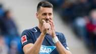 sandro wagner - cropped