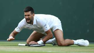 Wimbledon: Djokovic overcomes nasty slip to set up Sinner rematch