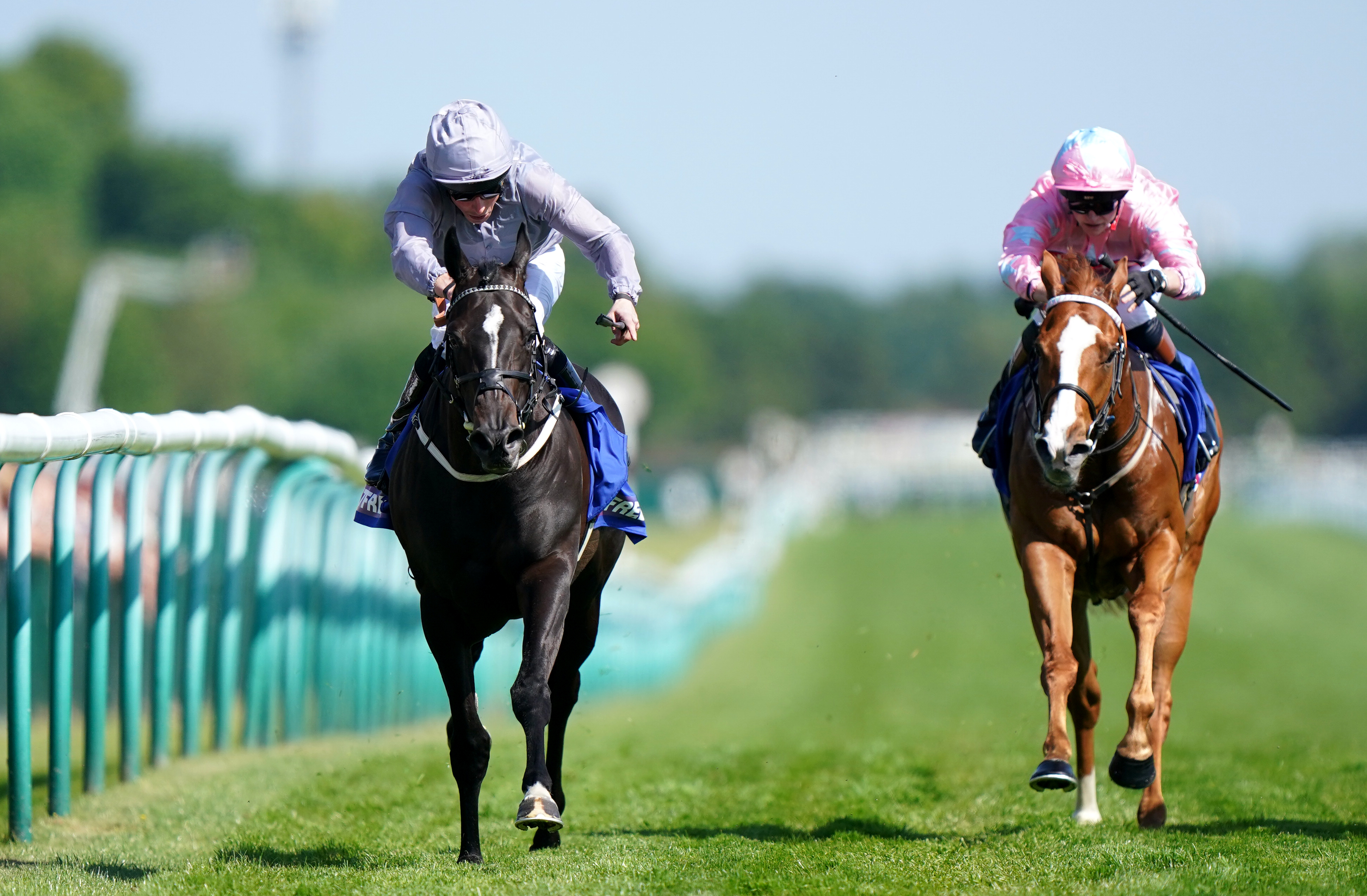Live In The Dream (right) ran a fine race when third in the Temple Stakes