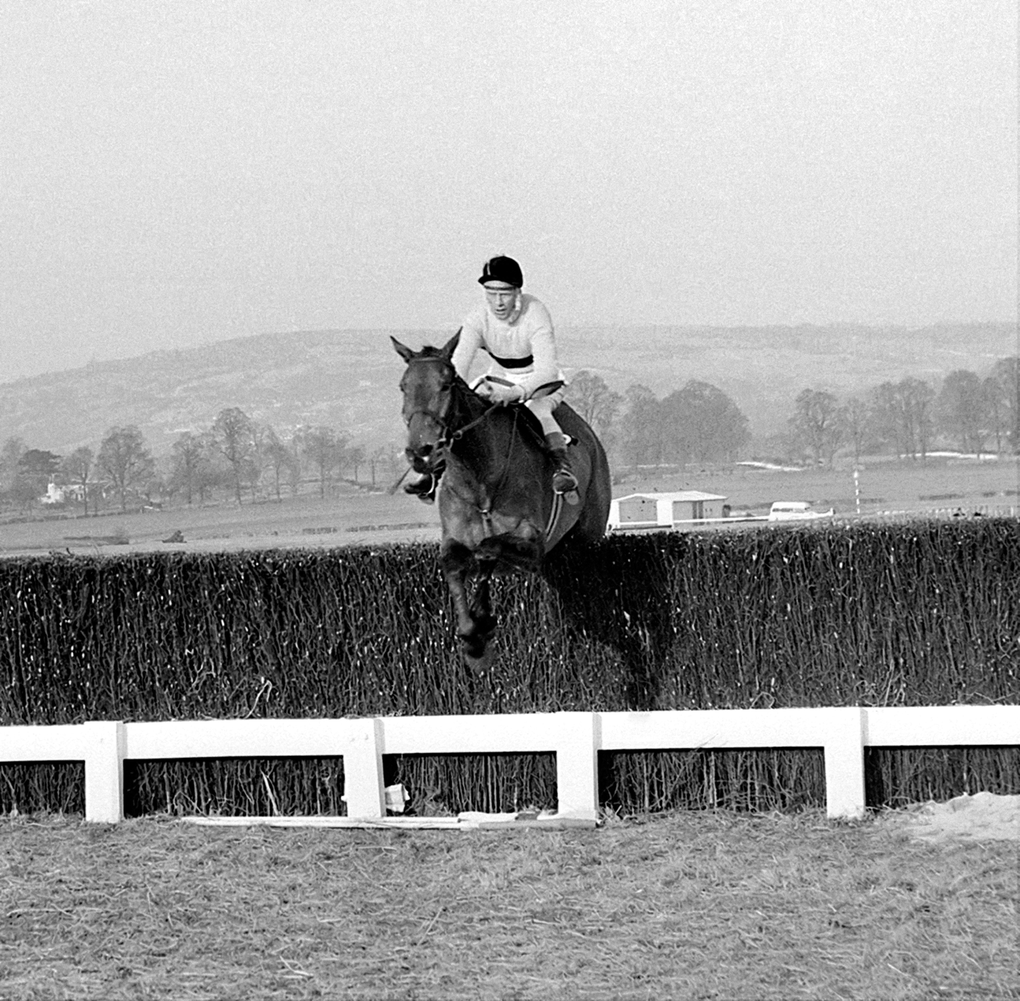 Arkle winning the Cheltenham Gold Cup