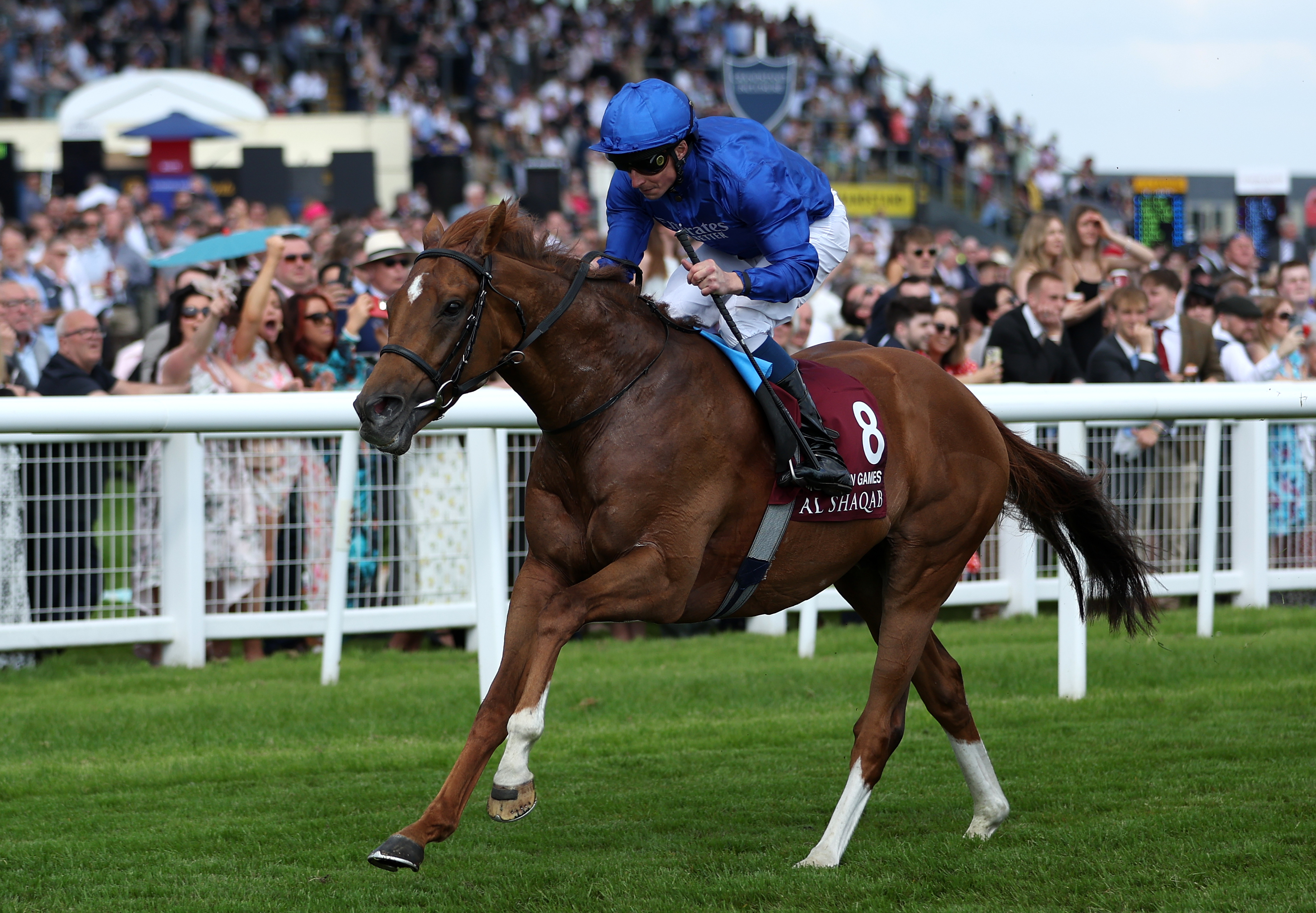 Modern Games impressed Appleby in the Lockinge