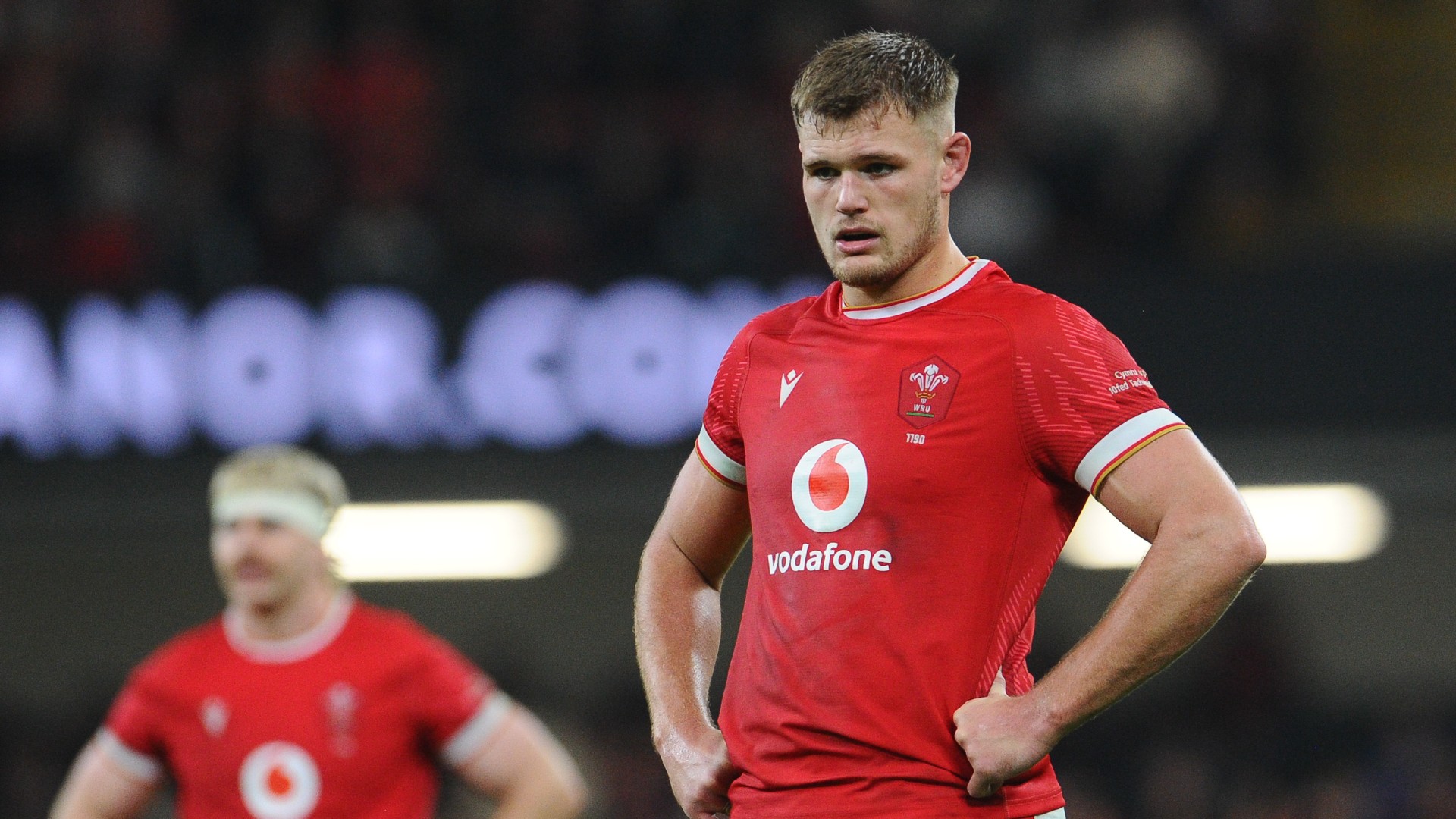 Wales call up Plumtree as Six Nations injury problems mount