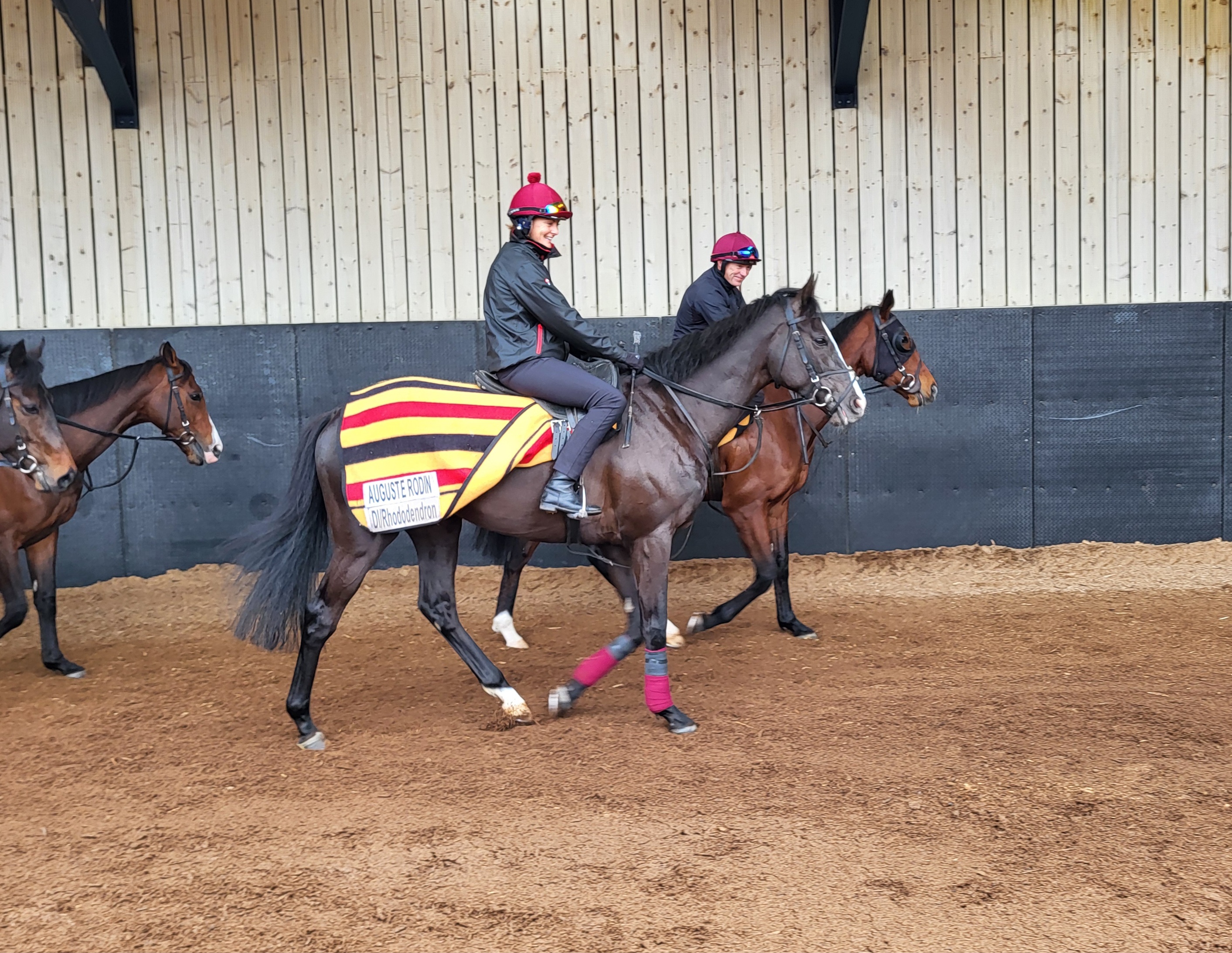 Auguste Rodin at Ballydoyle before his trip to Dubai
