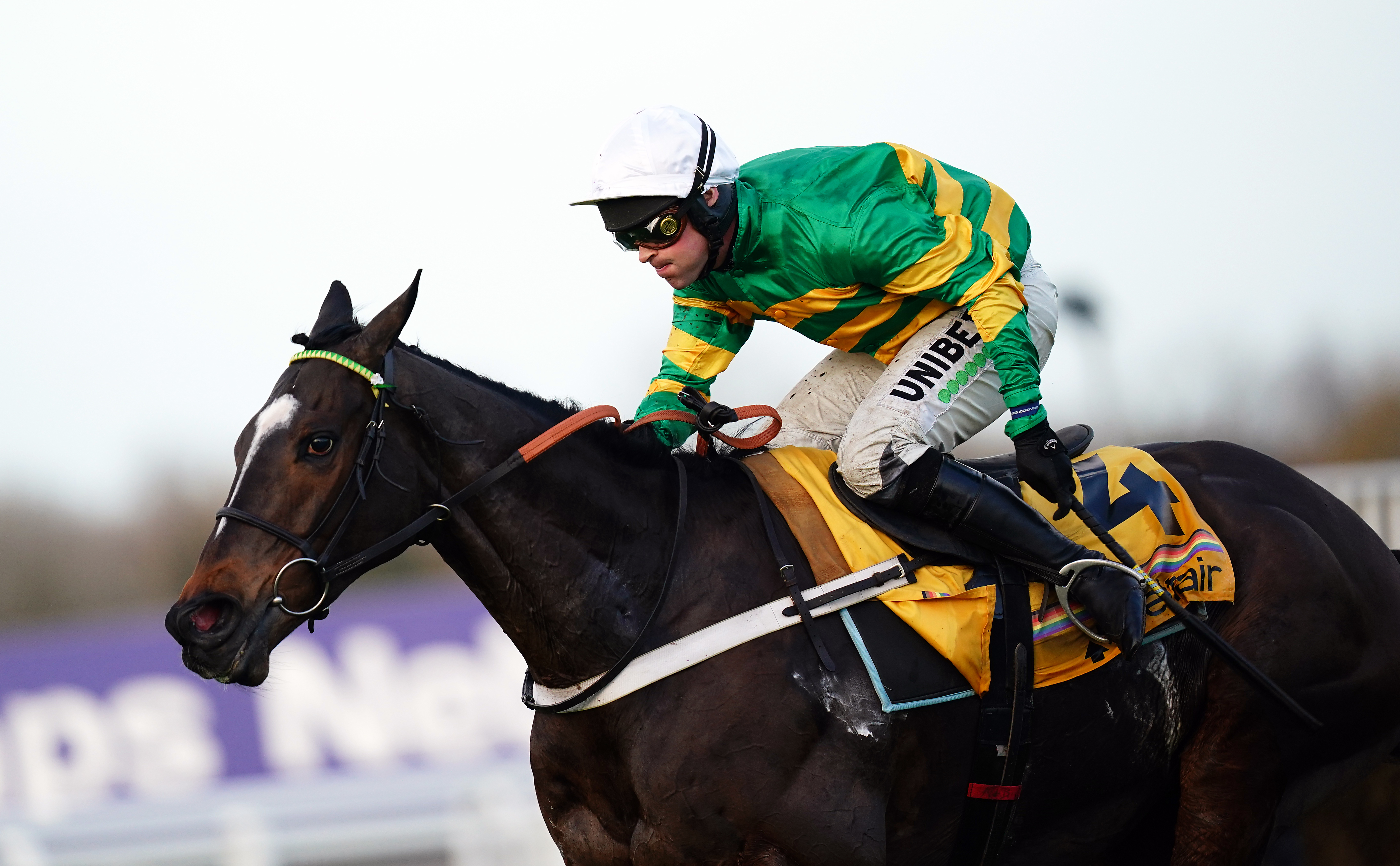 Jonbon did not run at the Cheltenham Festival