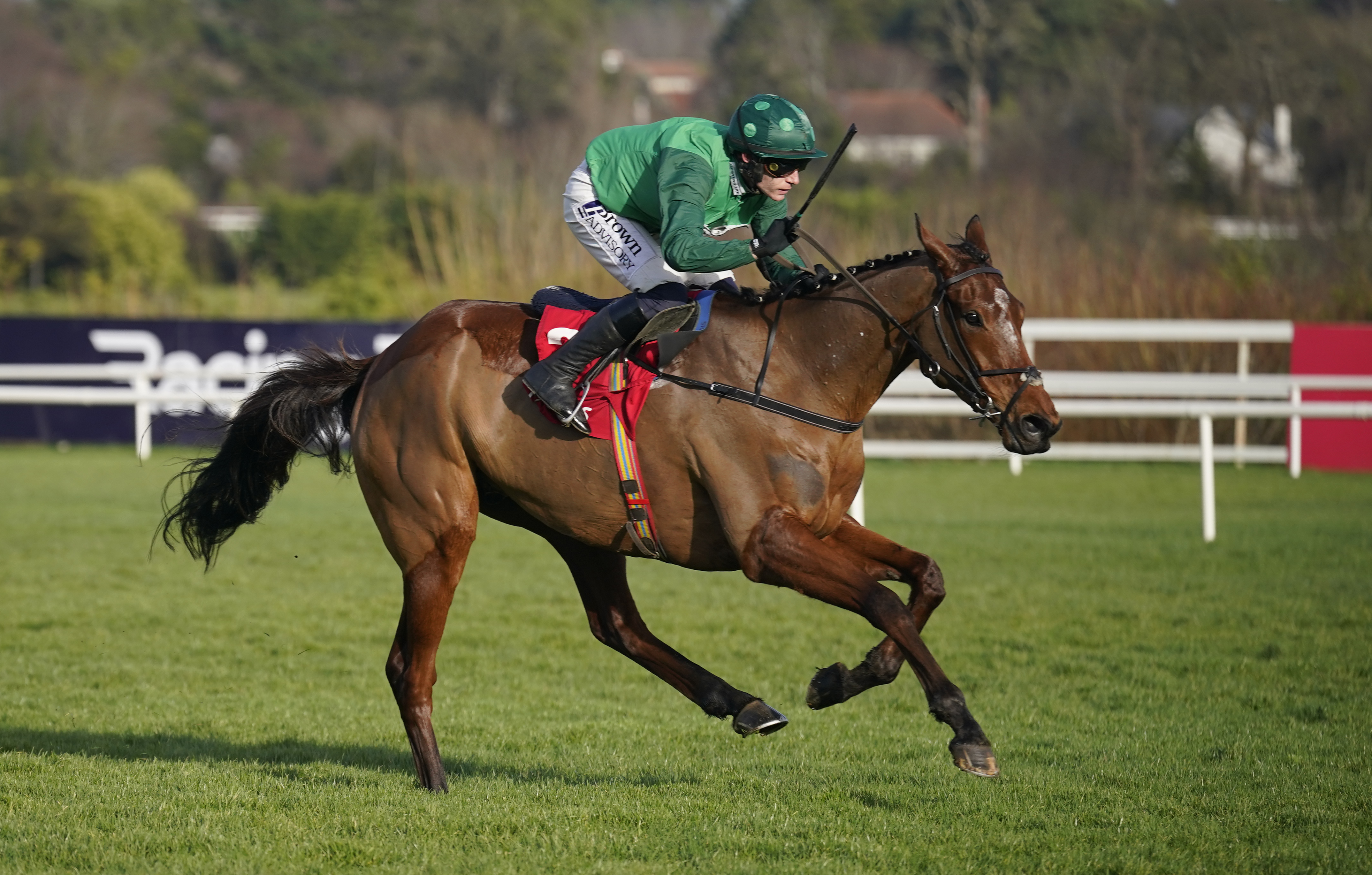 El Fabiolo in action at Leopardstown