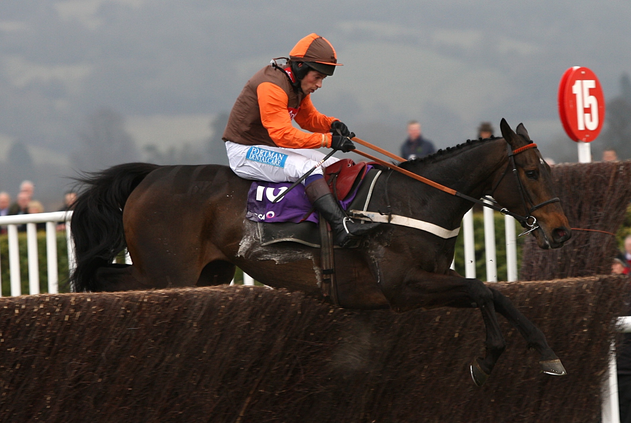 Long Run in action at Cheltenham