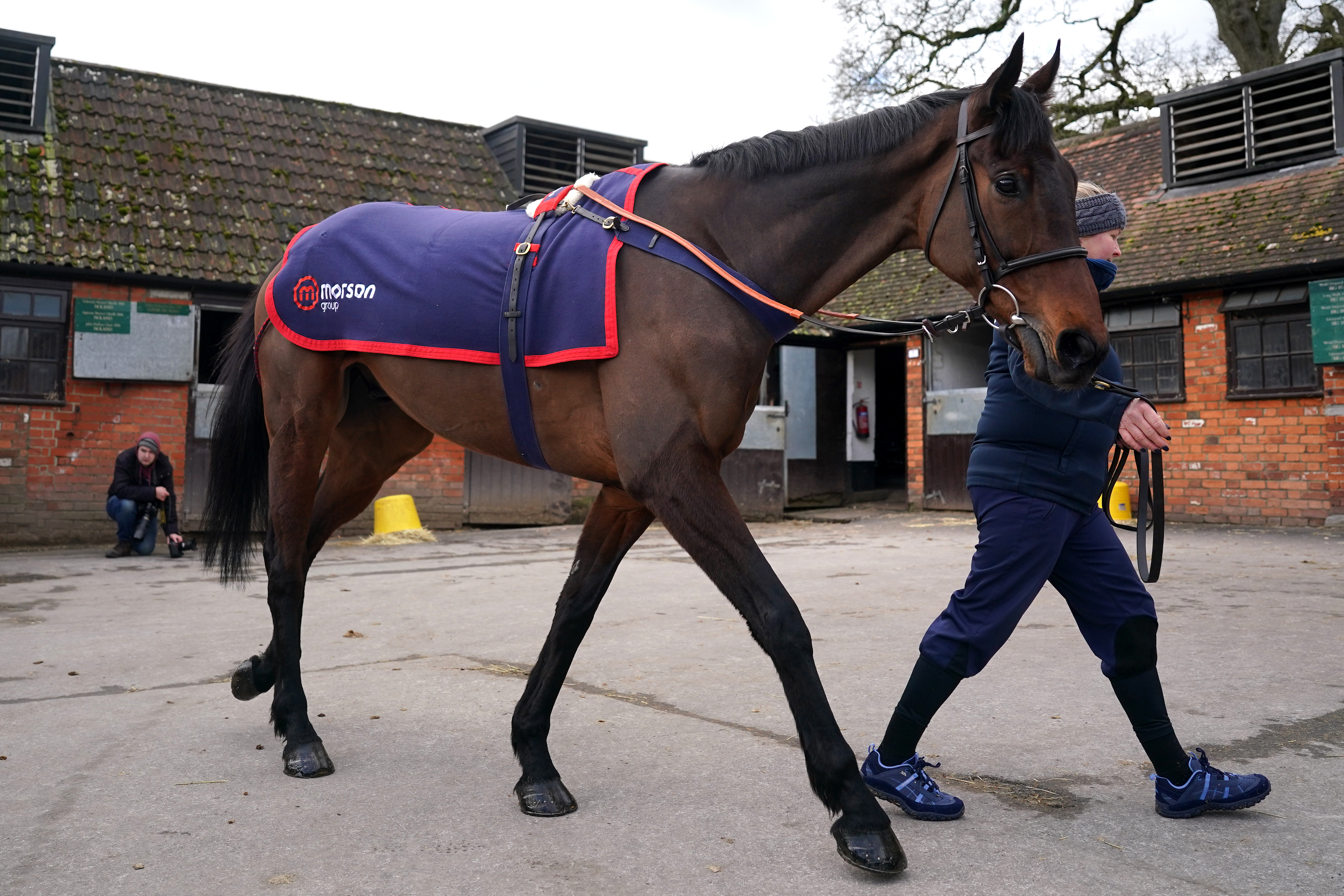 Ginny’s Destiny at Paul Nicholls' Manor Farm Stables