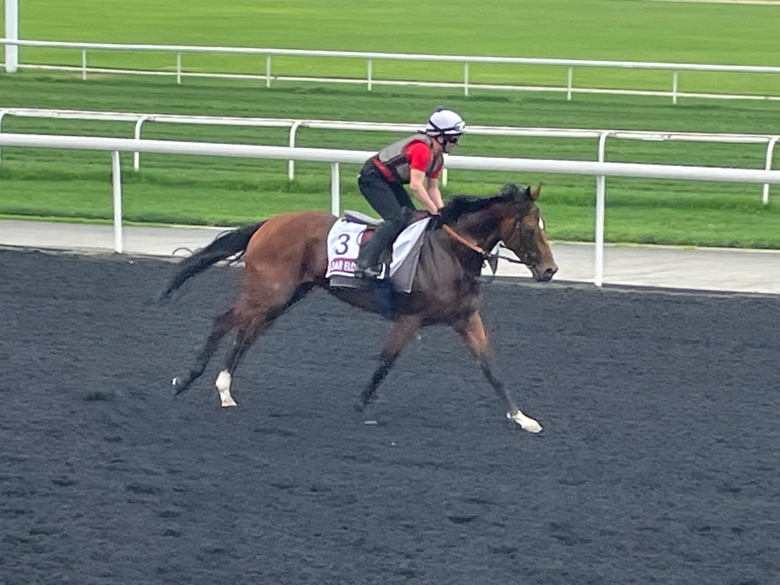 Eldar Eldarov going through his paces at Meydan