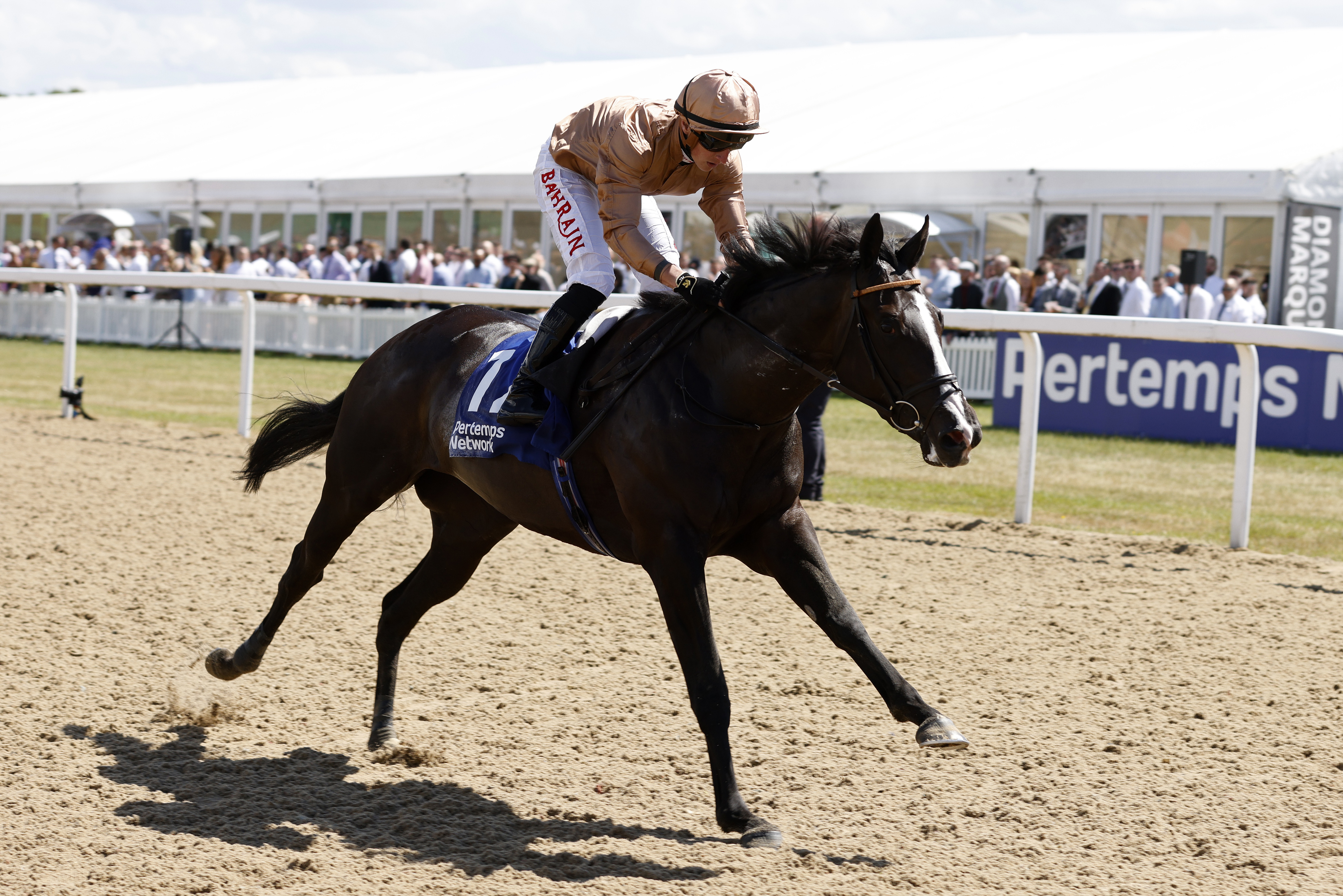 Sense of Duty winning the Chipchase Stakes