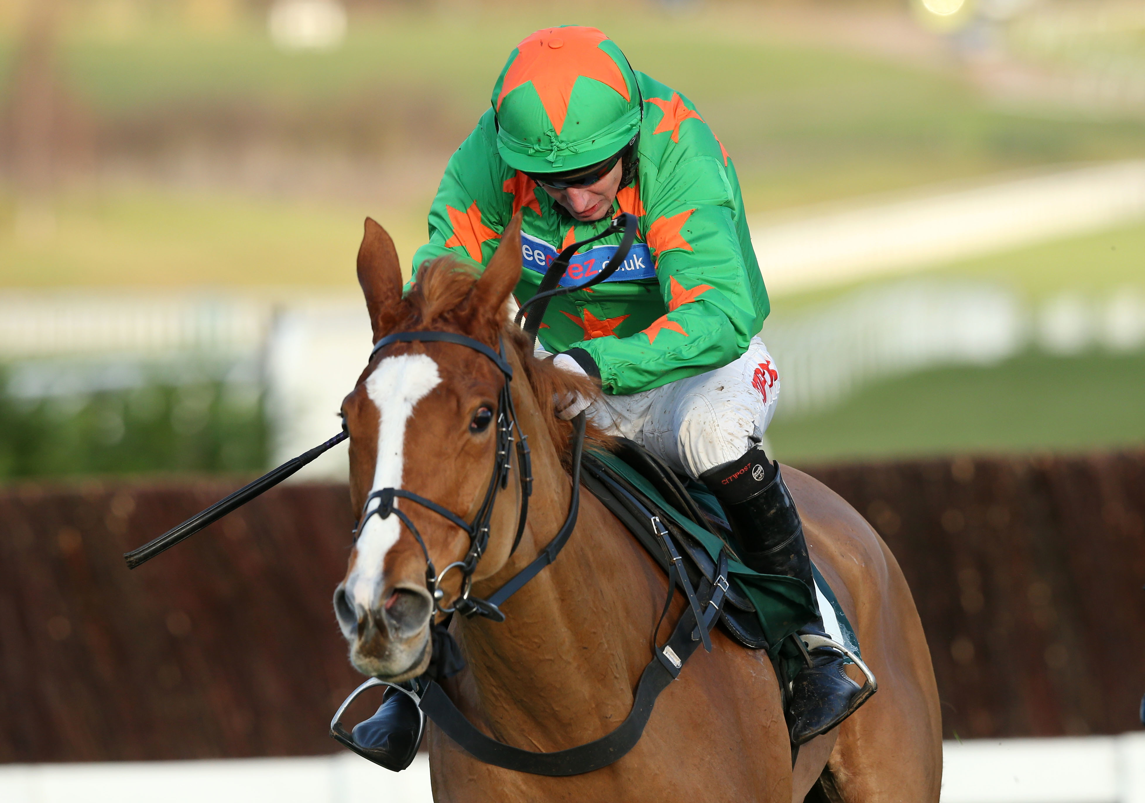 Ms Parfois was just denied at the Cheltenham Festival