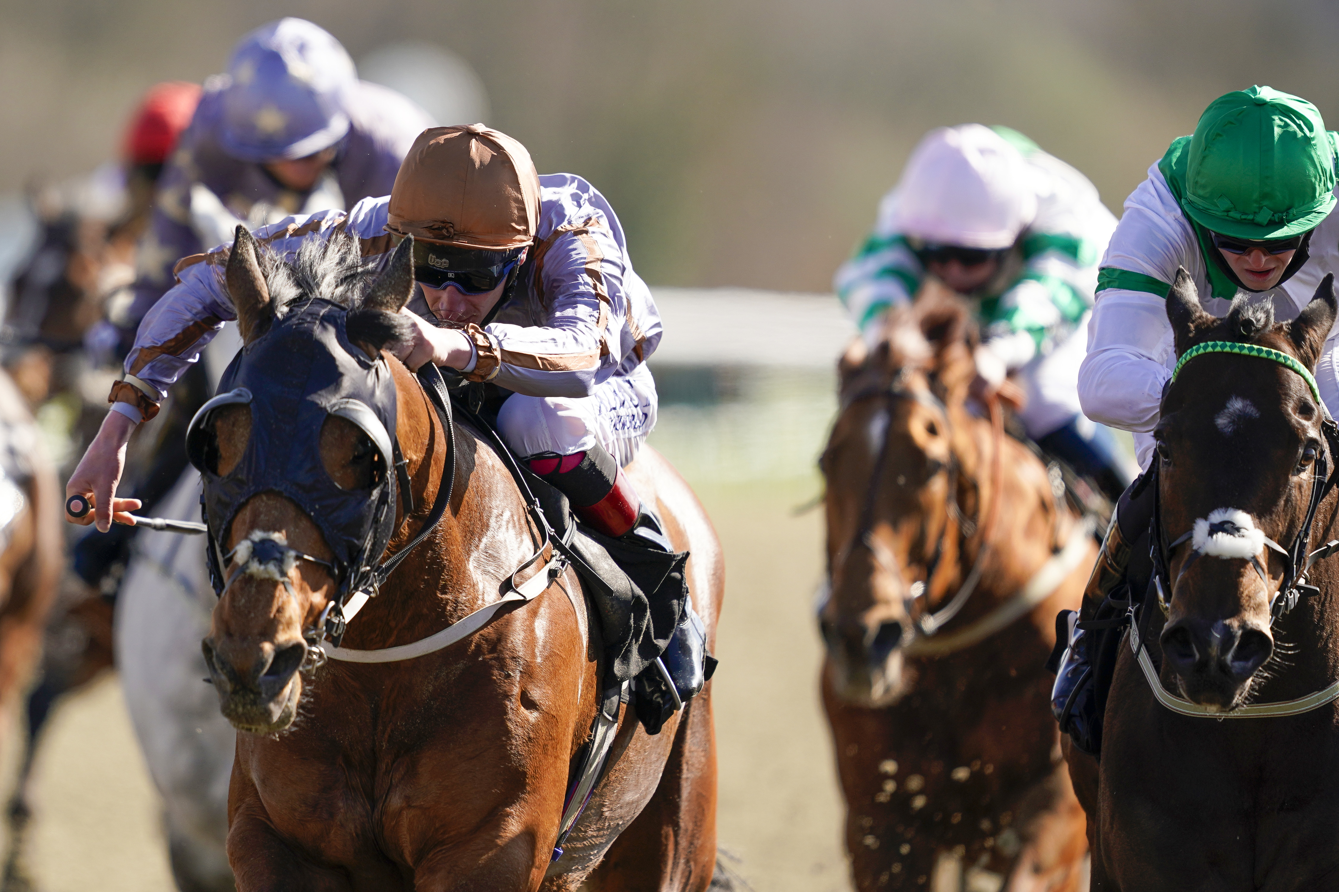 Summerghand winning the race when it was held at Lingfield (