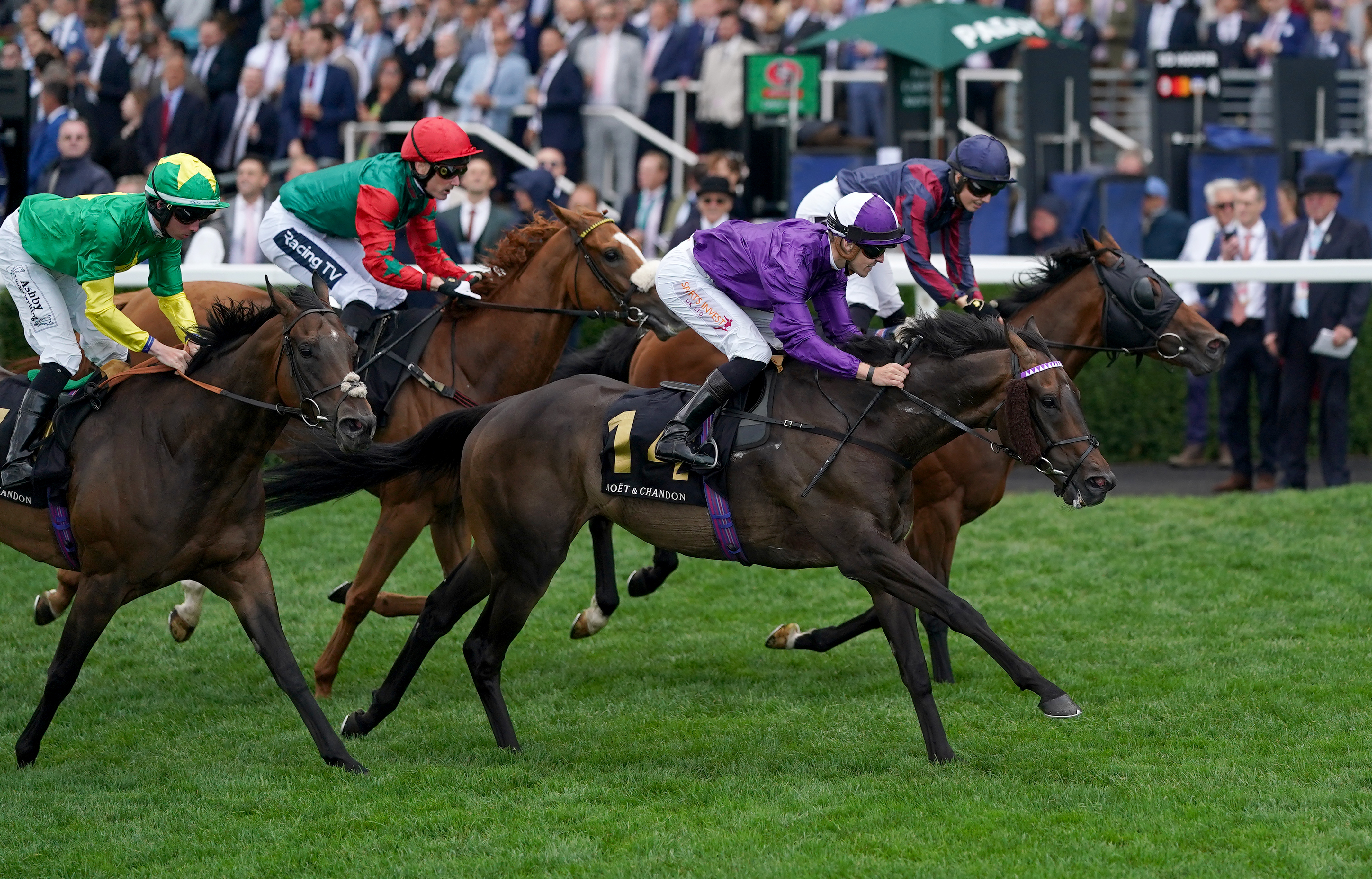 Baradar at Ascot last year