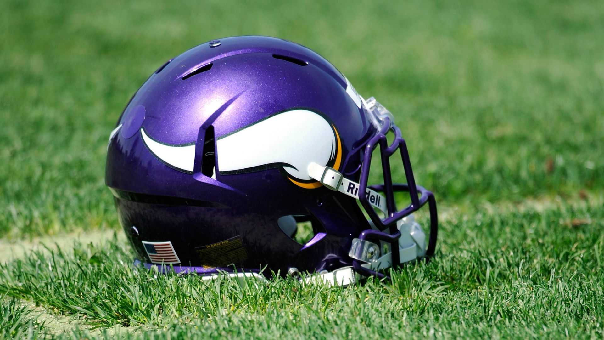 Minnesota Vikings