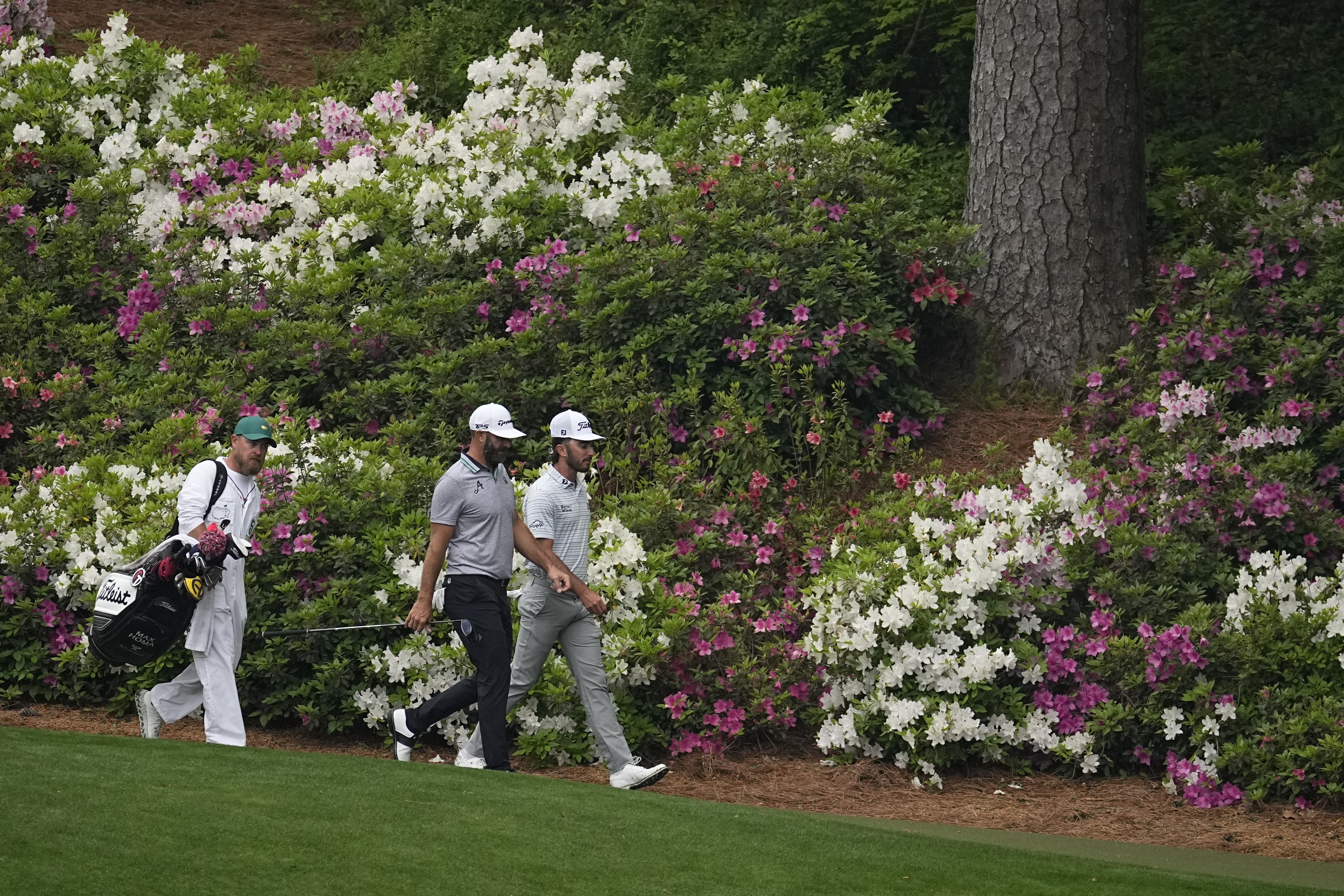 Max Homa, right, and Dustin Johnson walk on the 13th hole during a practice round (AP Photo/George Walker IV)