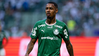 Palmeiras boss unsure on Man City target Allan's future