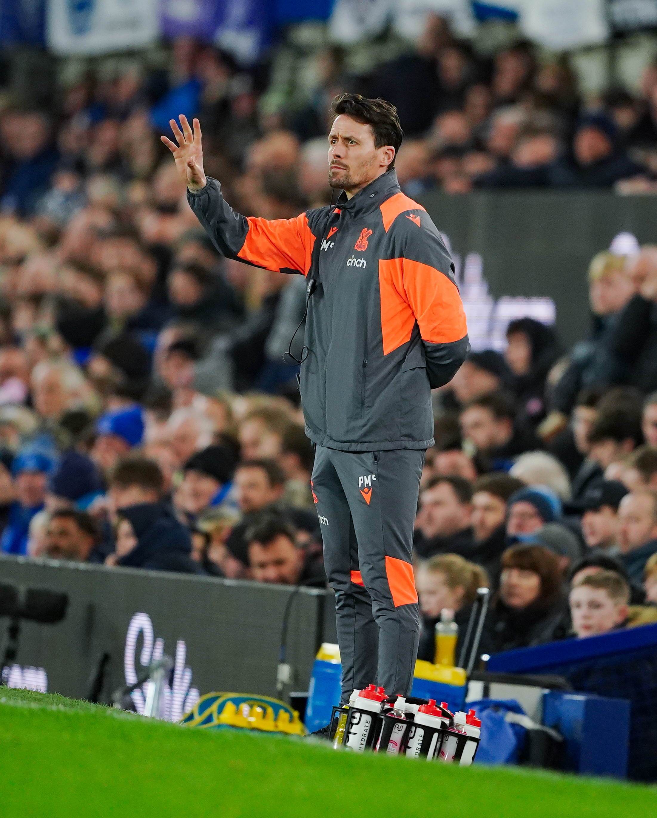 Everton v Crystal Palace – Premier League – Goodison Park