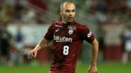 iniesta-cropped