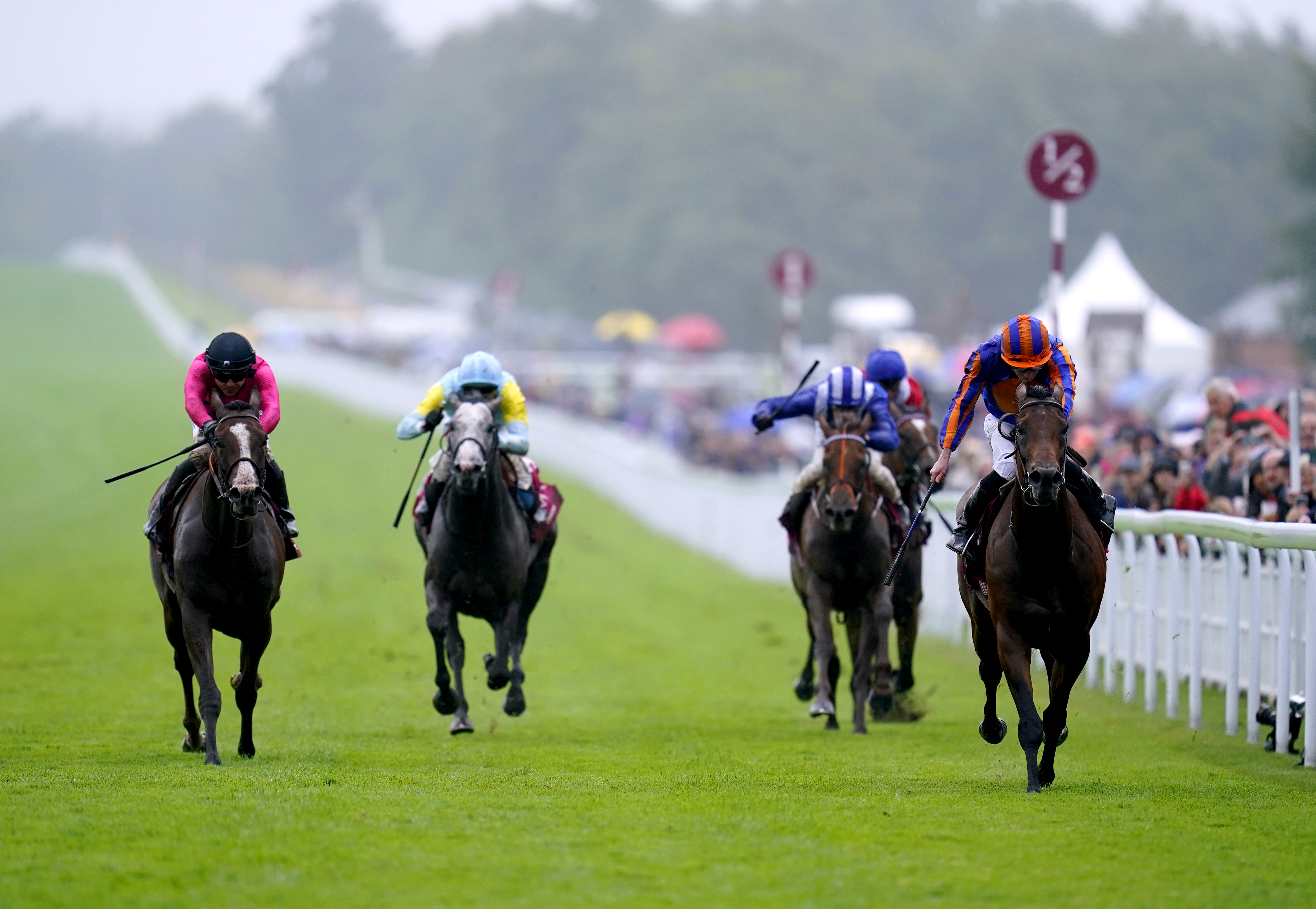 Facteur Cheval (left) in the Qatar Sussex Stakes