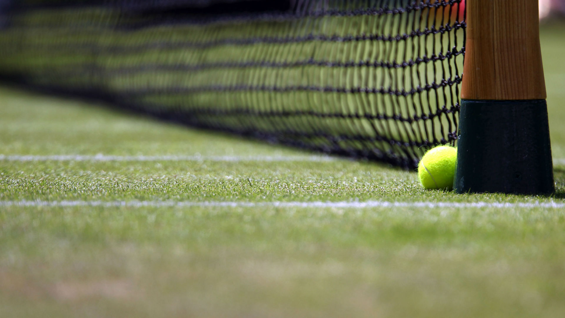 A tennis ball nestles against the net