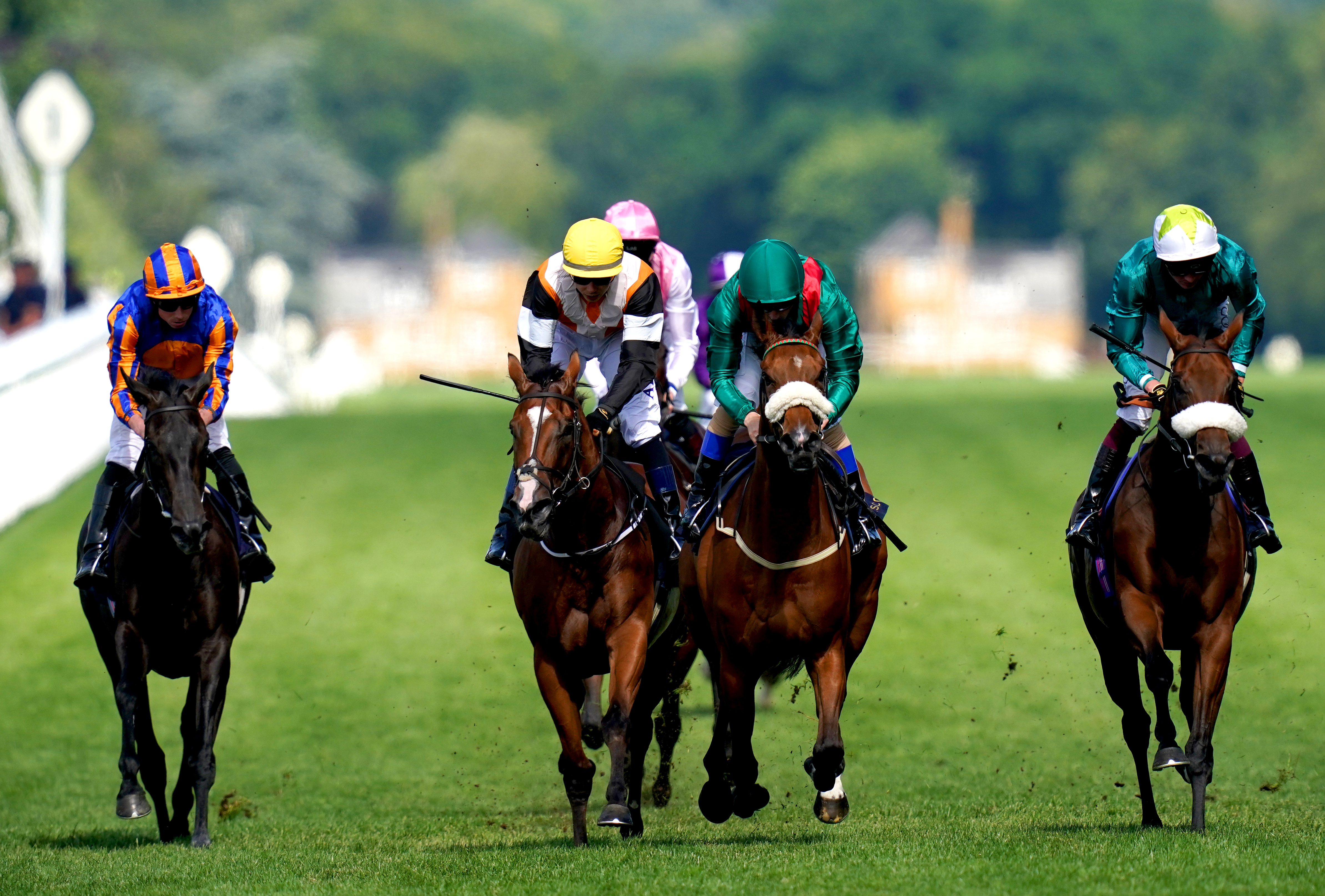 Remarquee (far right) was not beaten far at Royal Ascot