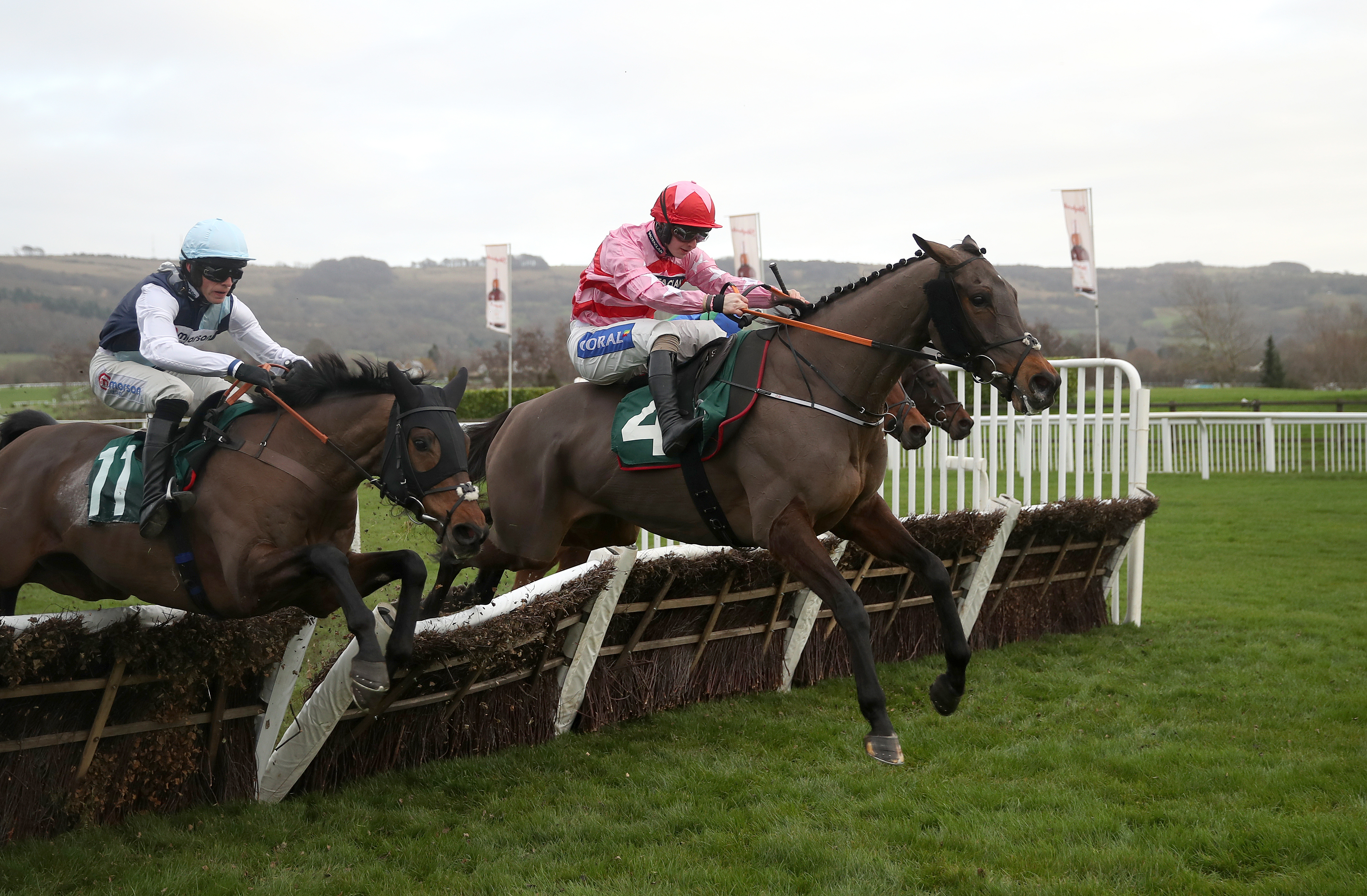 Go Dante has been running well this season