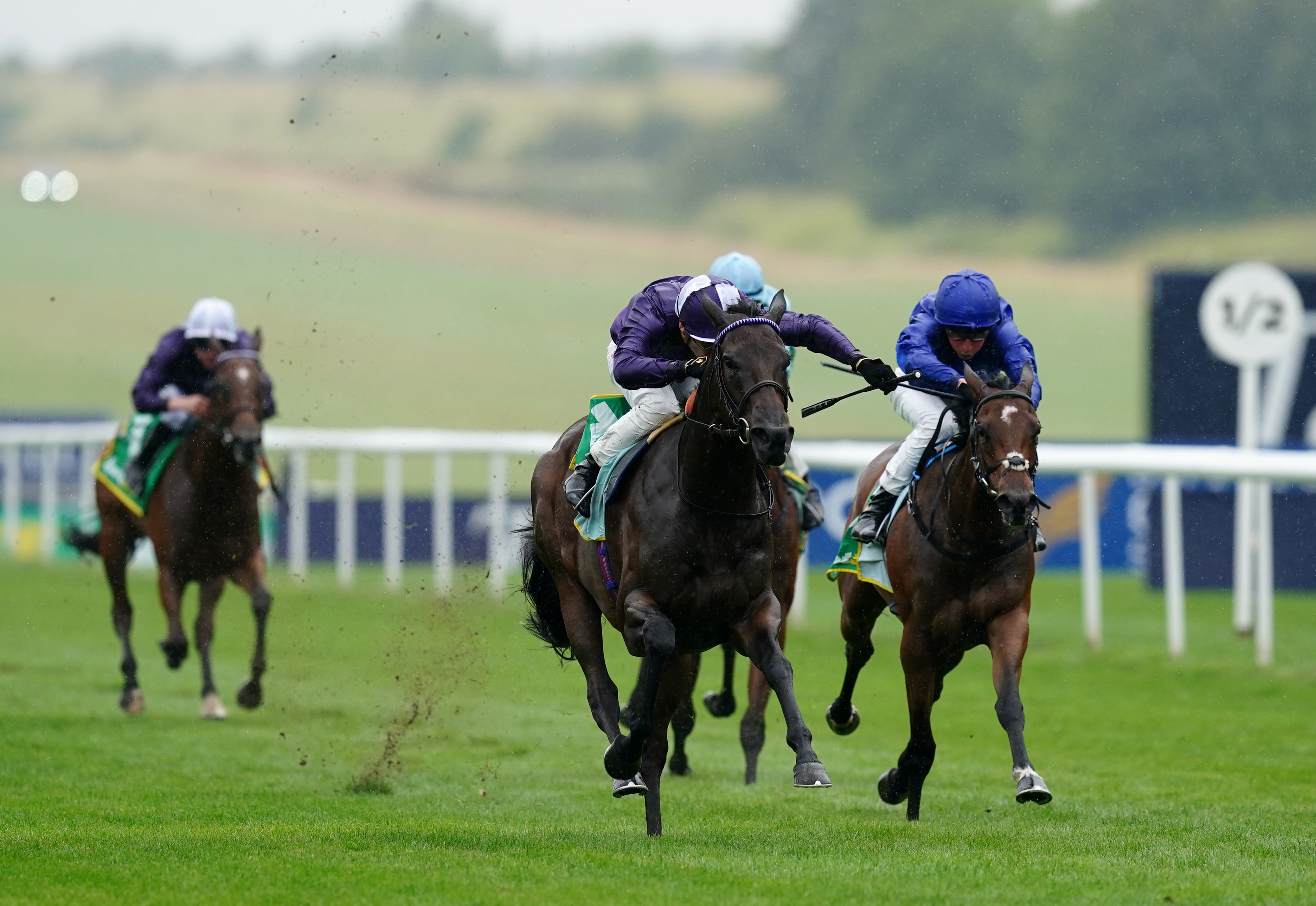 Persian Dreamer winning at Newmarket
