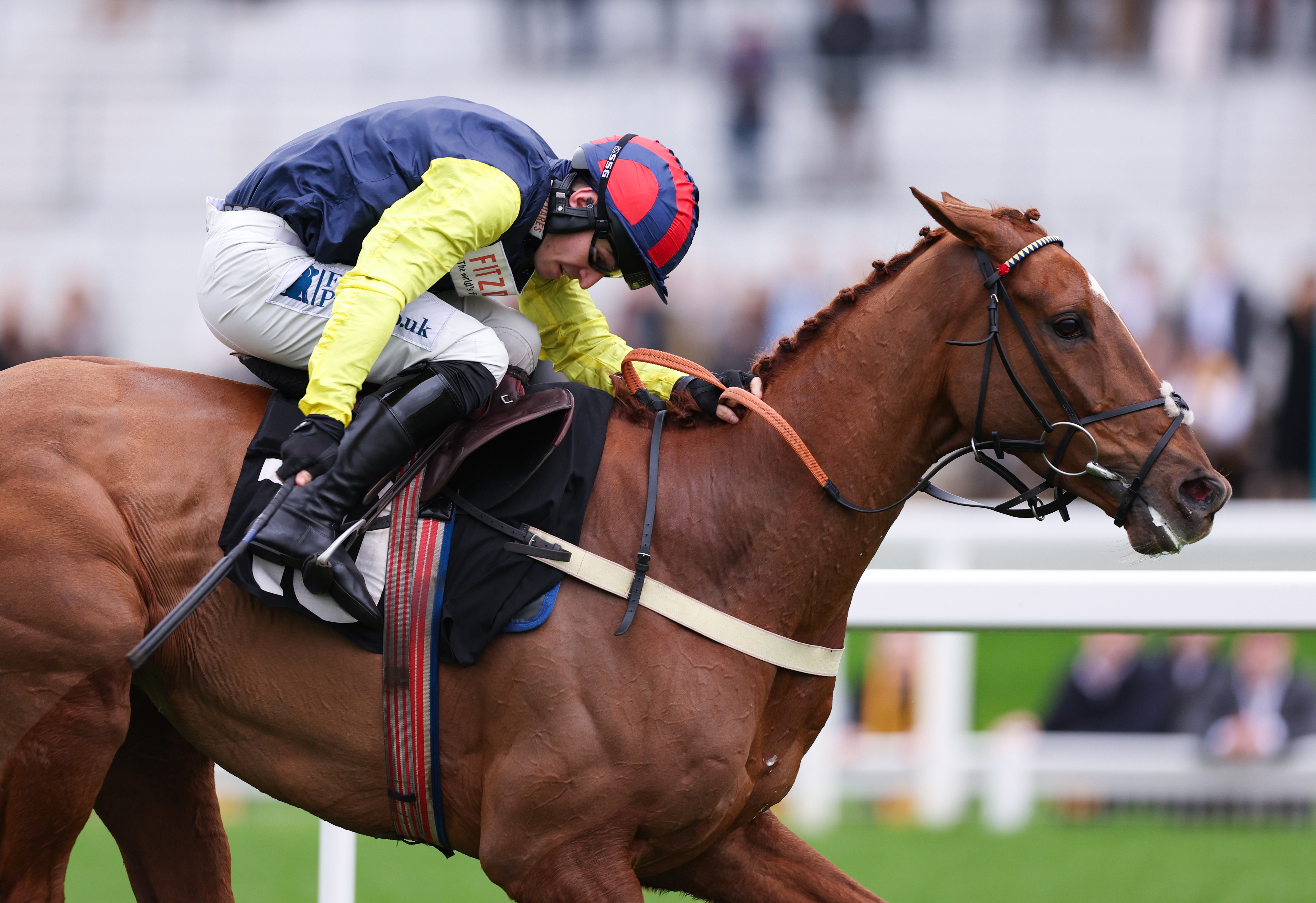 Pic Roc ridden by Ben Jones wins the Ascot Shop Novices’ Hurdle