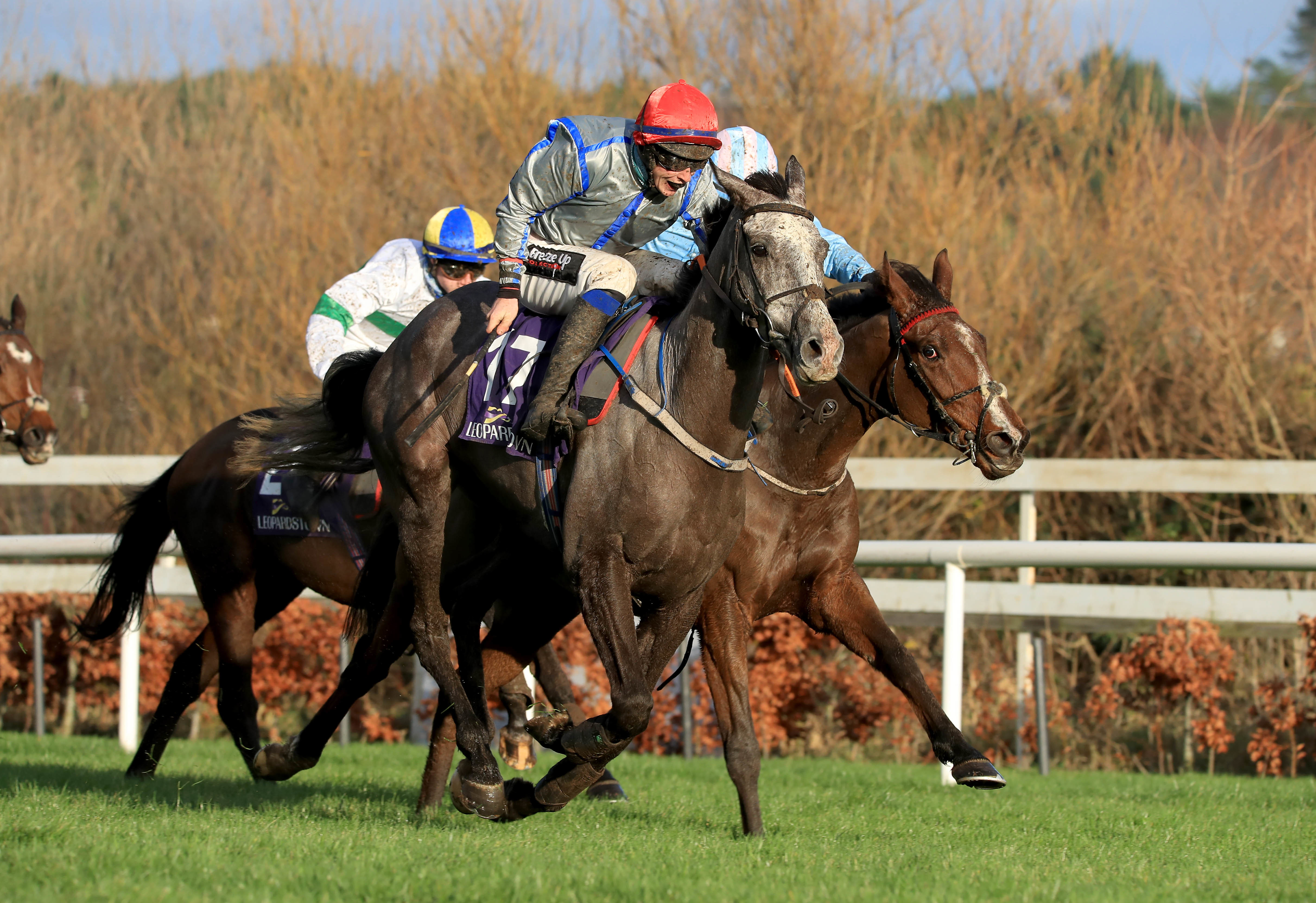 Panda Boy will represent Martin Brassil in the Grand National