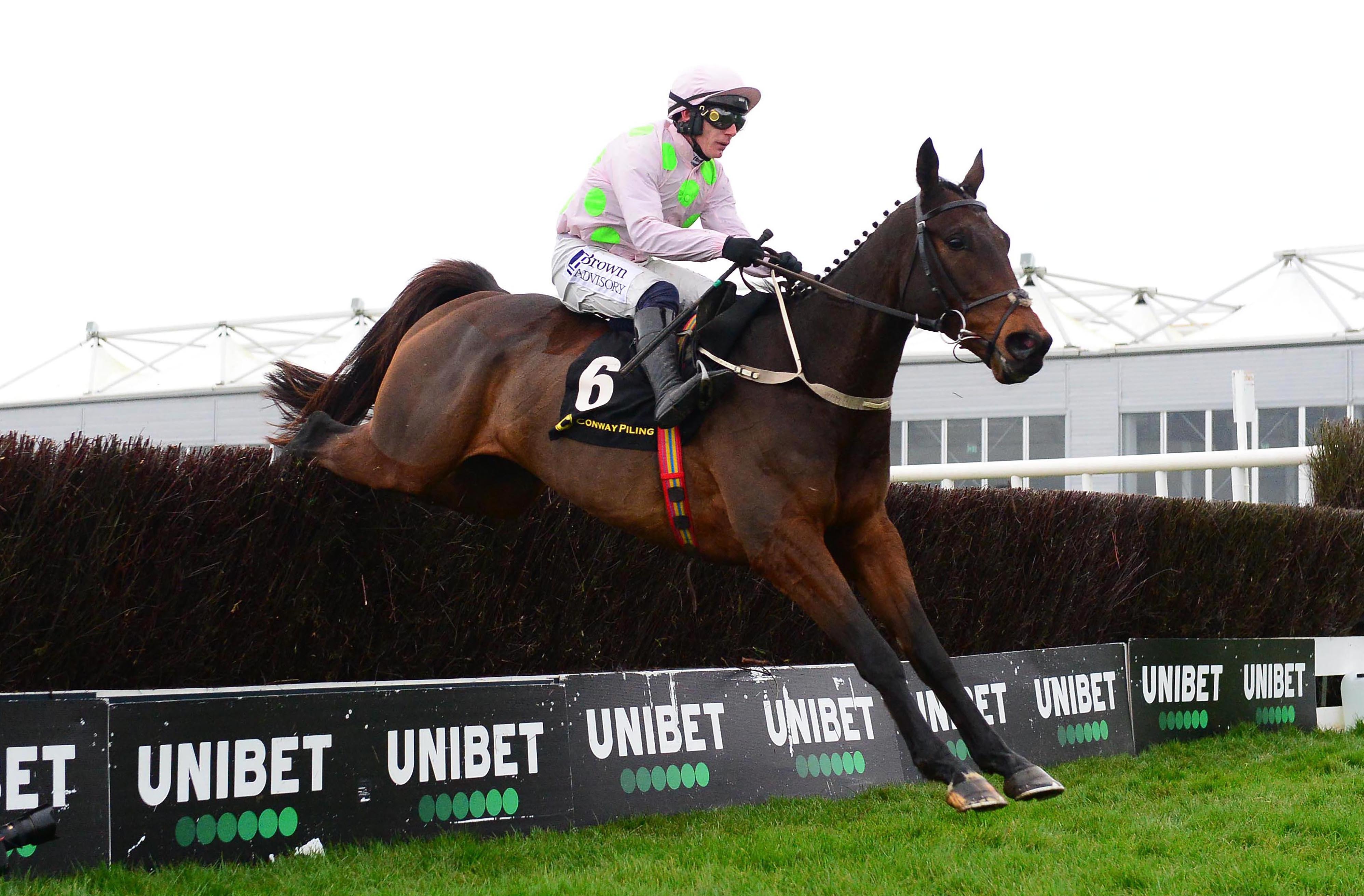 Gaelic Warrior looks to bounce back to form