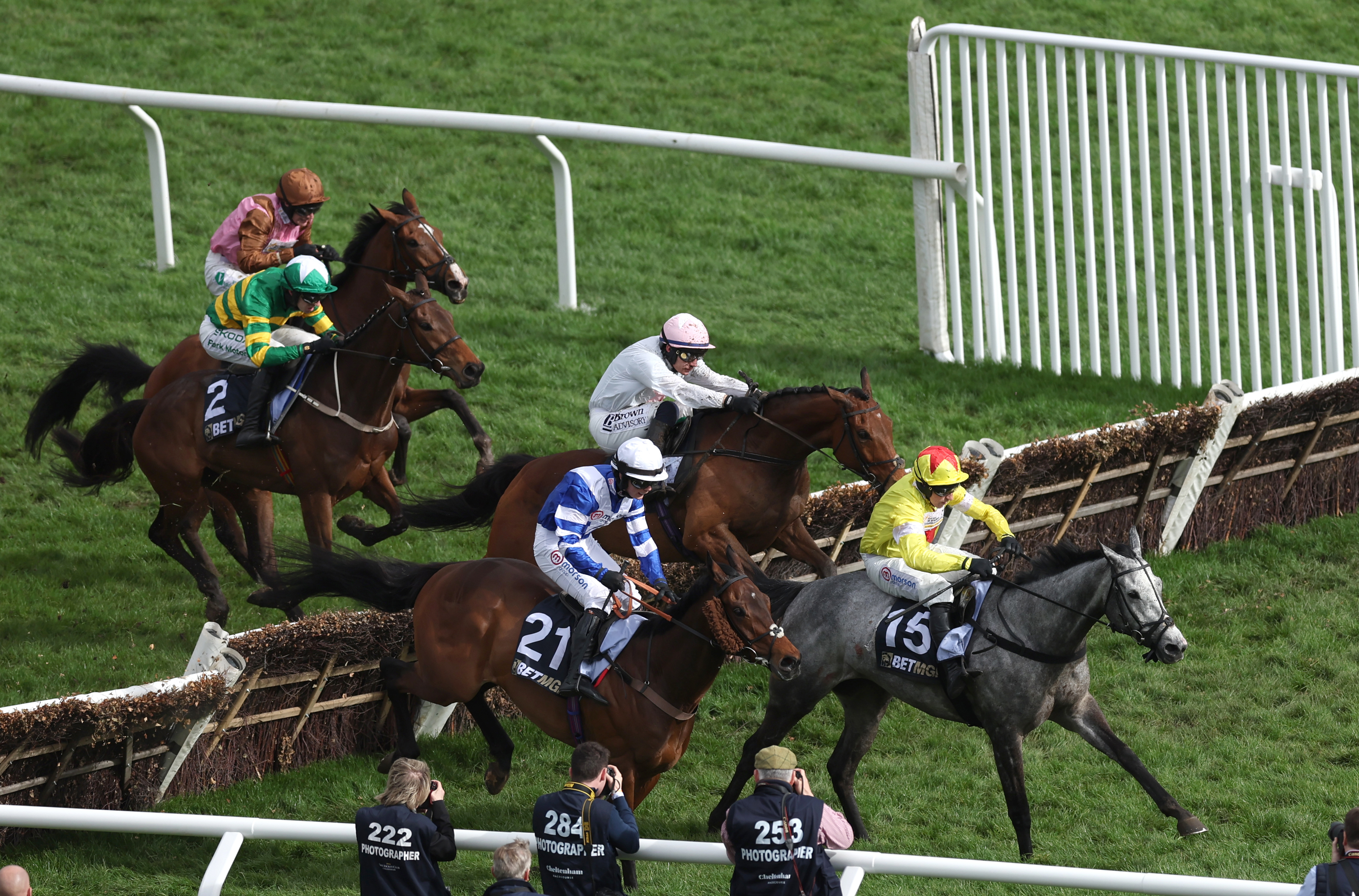 L'Eau du Sud jumped the last in front at Cheltenham but was caught close home