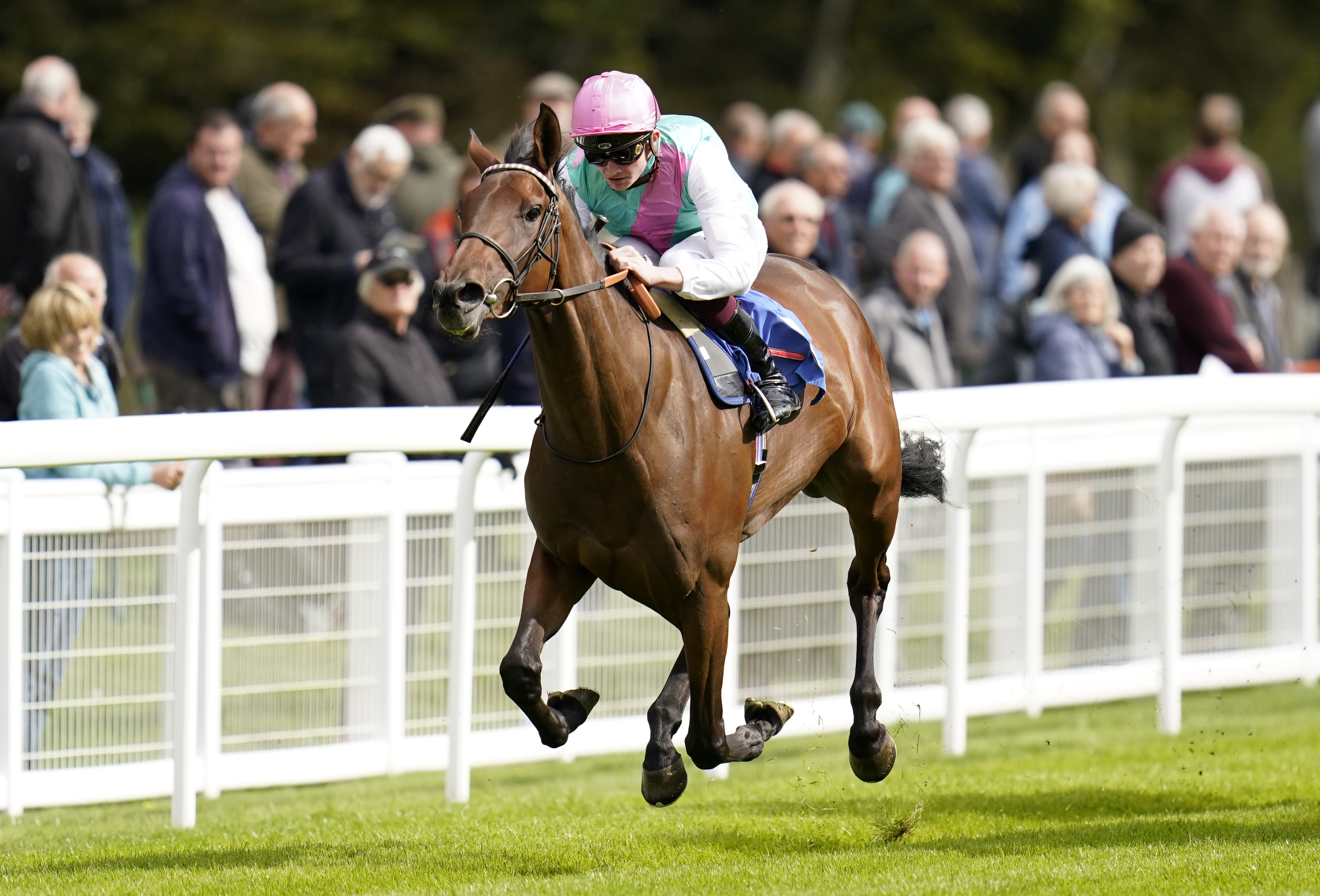 Bluestocking winning the Byerley Stud British EBF Novice Stakes