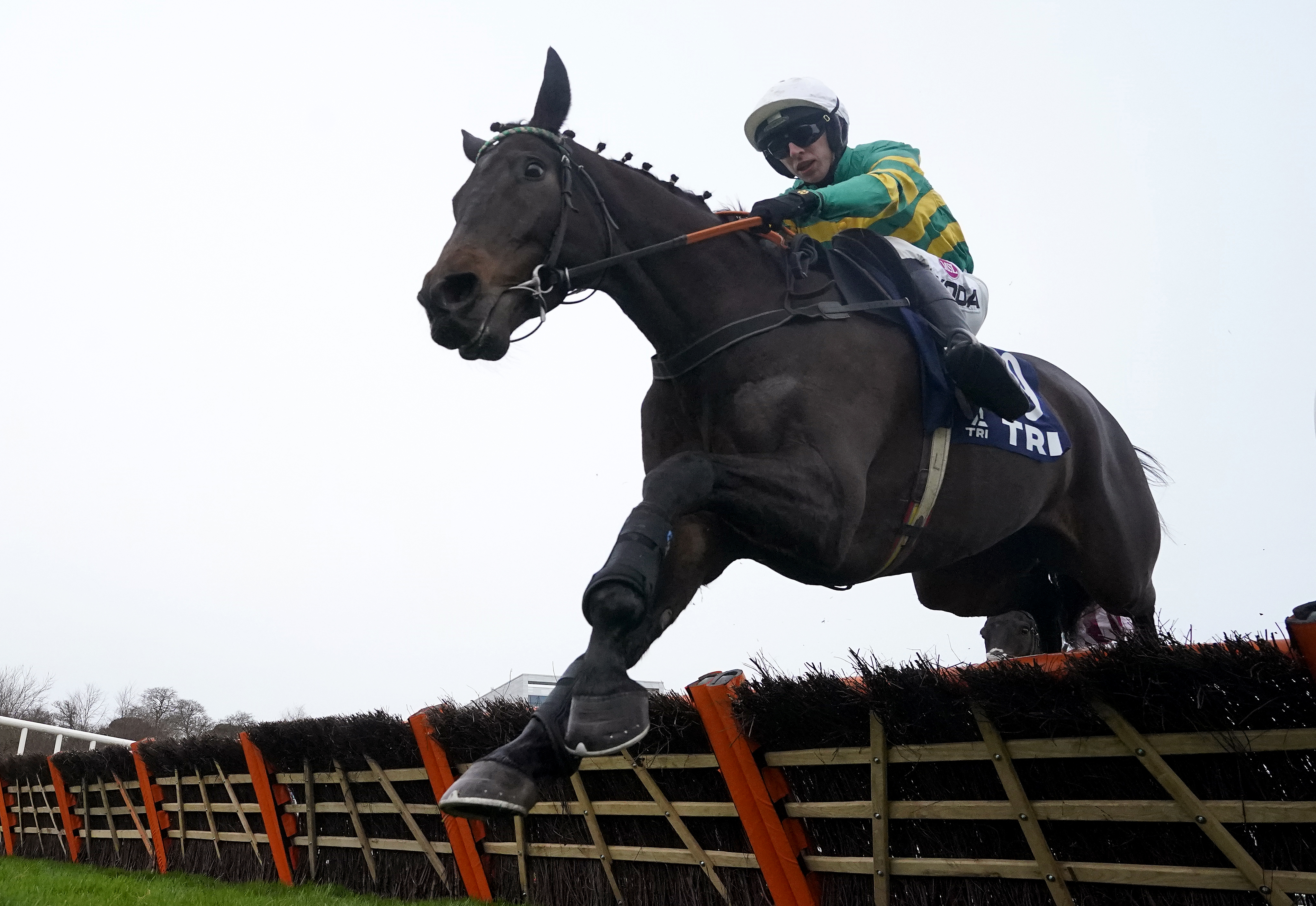 No Flies On Him jumps the last at Leopardstown on debut