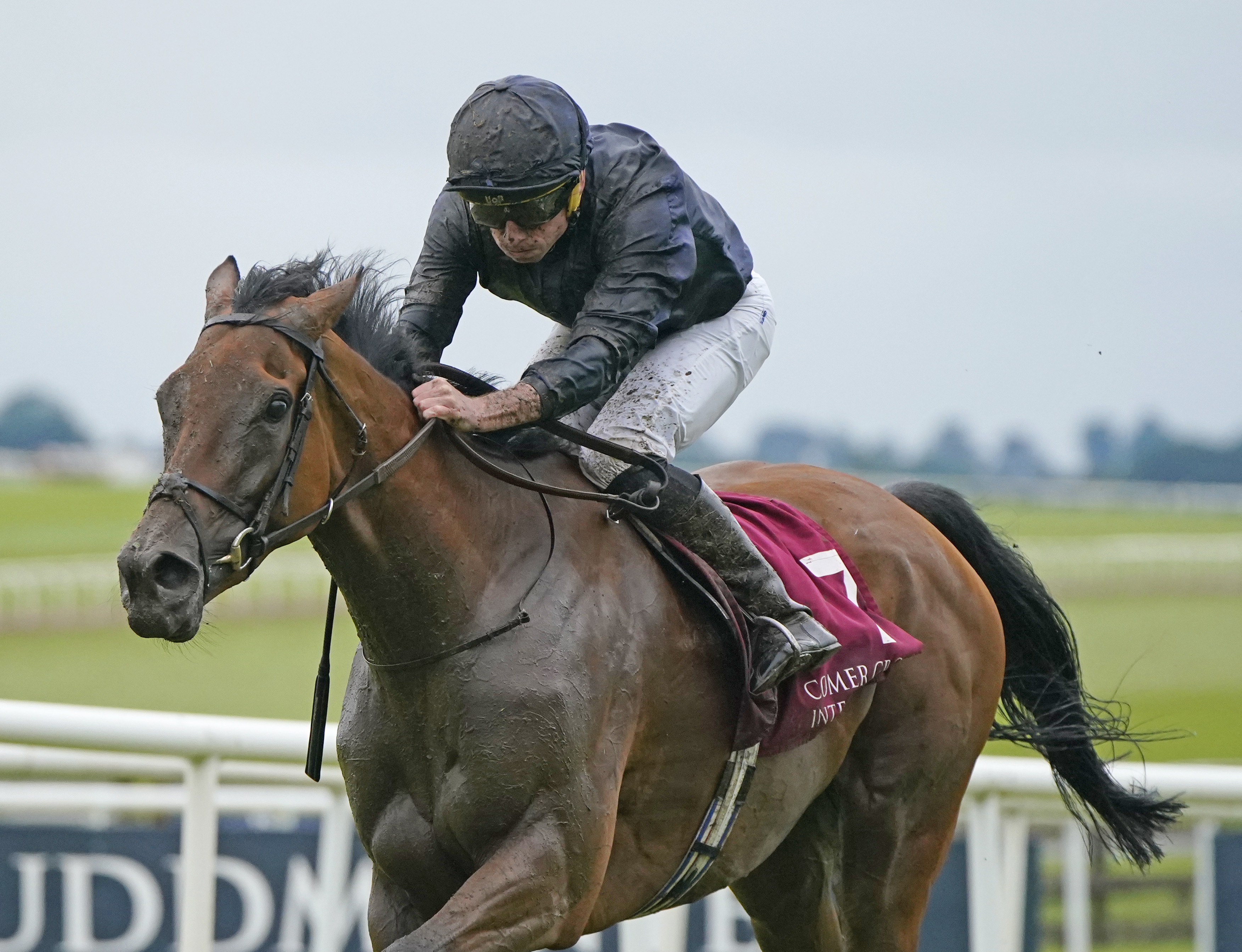 Emily Dickinson will be part of Aidan O'Brien's ParisLongchamp team
