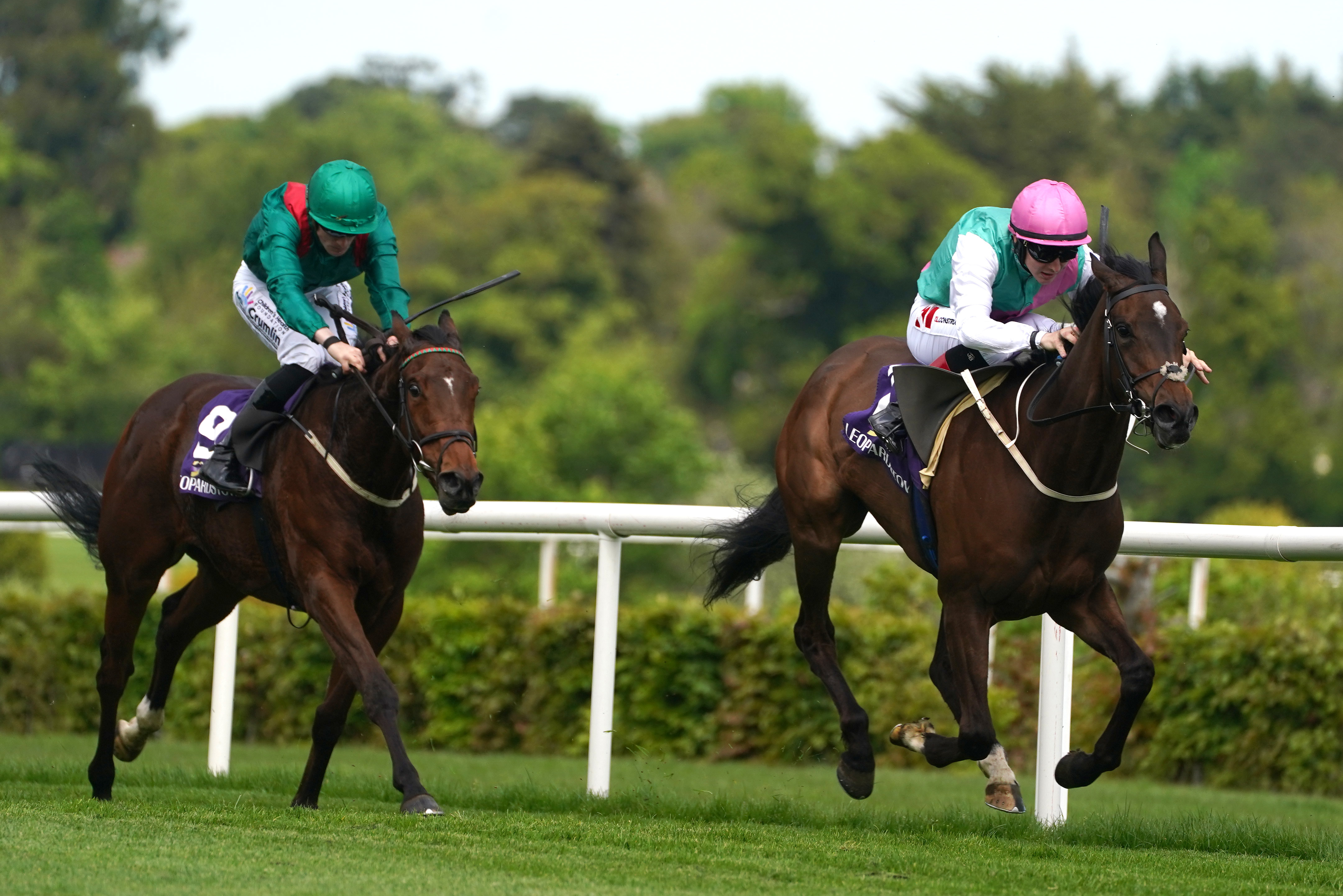 Zarinsk (right) and Tarawa do battle again after finishing first and second in Cornelscourt Stakes
