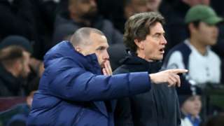 Sherwood open to Spurs role but feels Heitinga will fill in before Pochettino returns