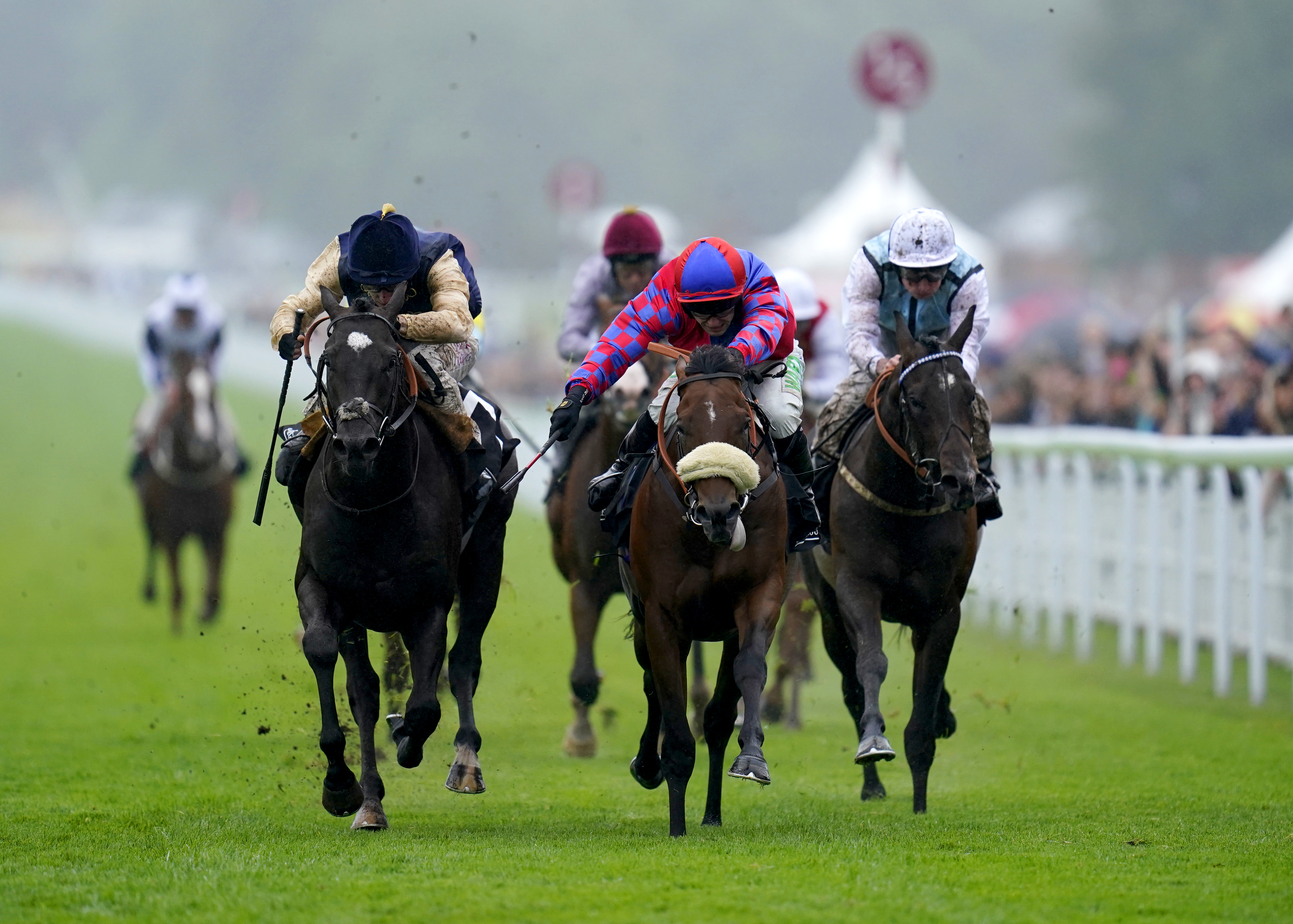 Big Evs (noseband) winning the Molecomb Stakes