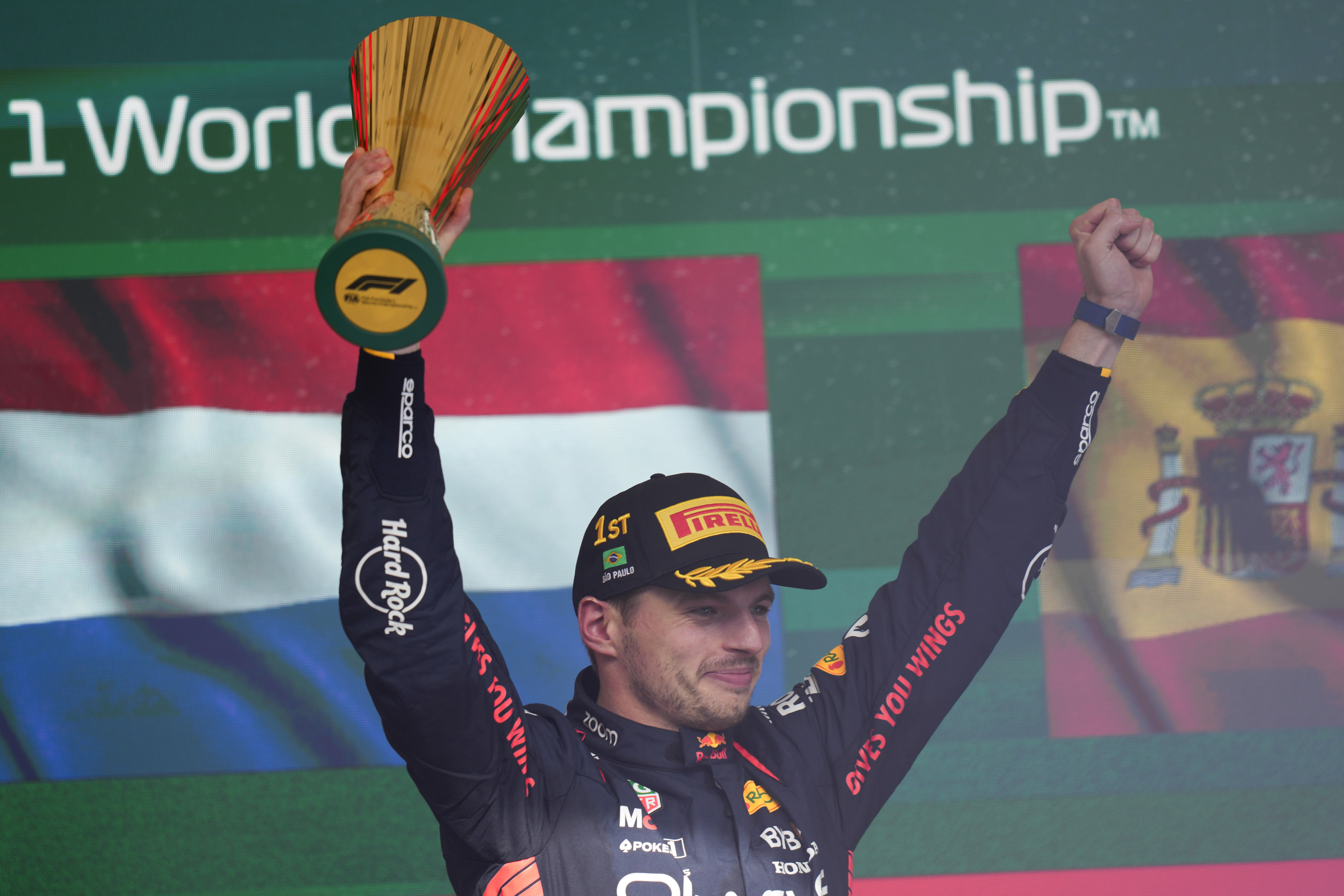 Versatppen celebrates after winning the Brazilian Grand Prix (Andre Penner/AP)