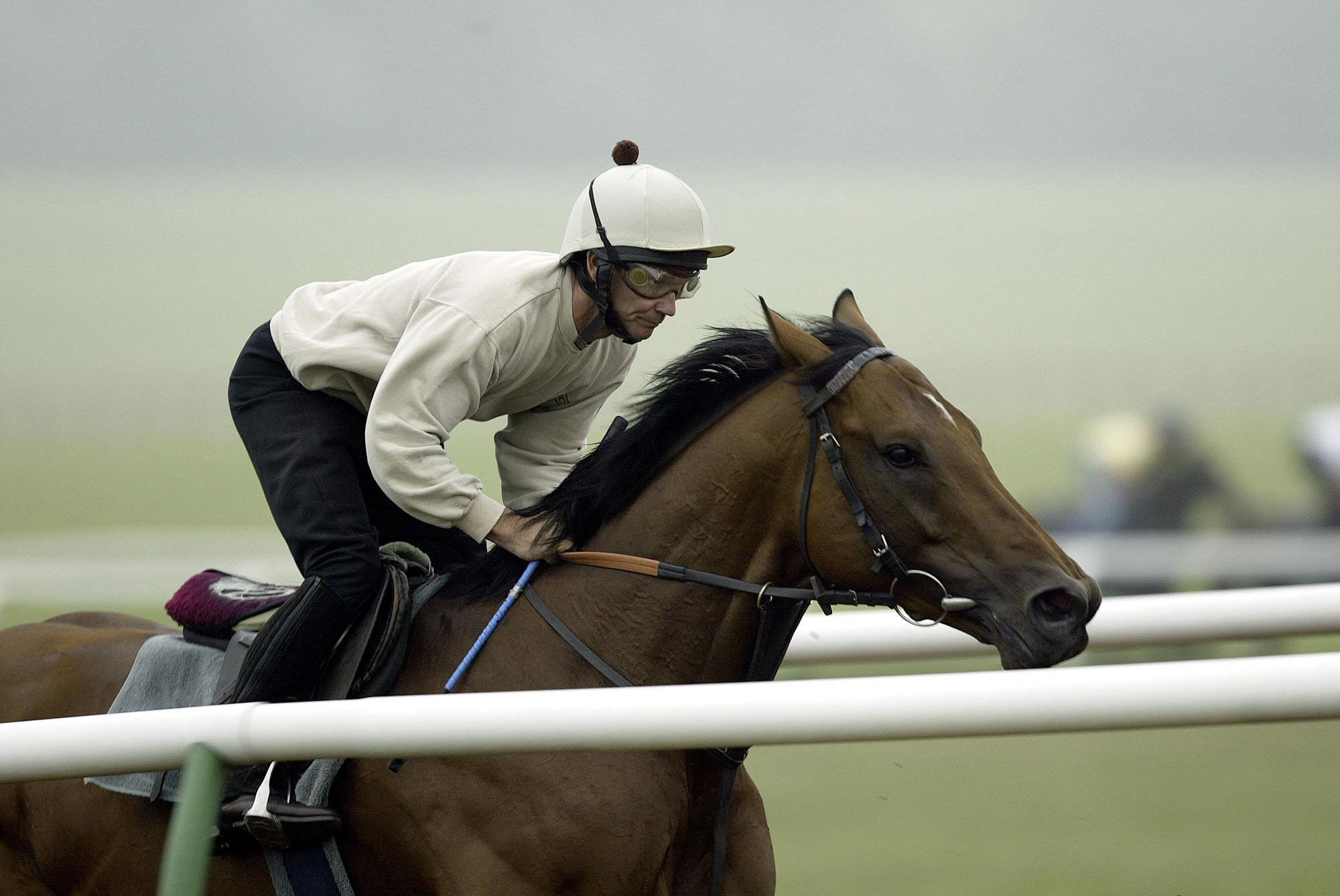 Falbrav enjoying a spin in Newmarket during his build up to the Juddmonte International