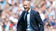 Zinedine Zidane - cropped
