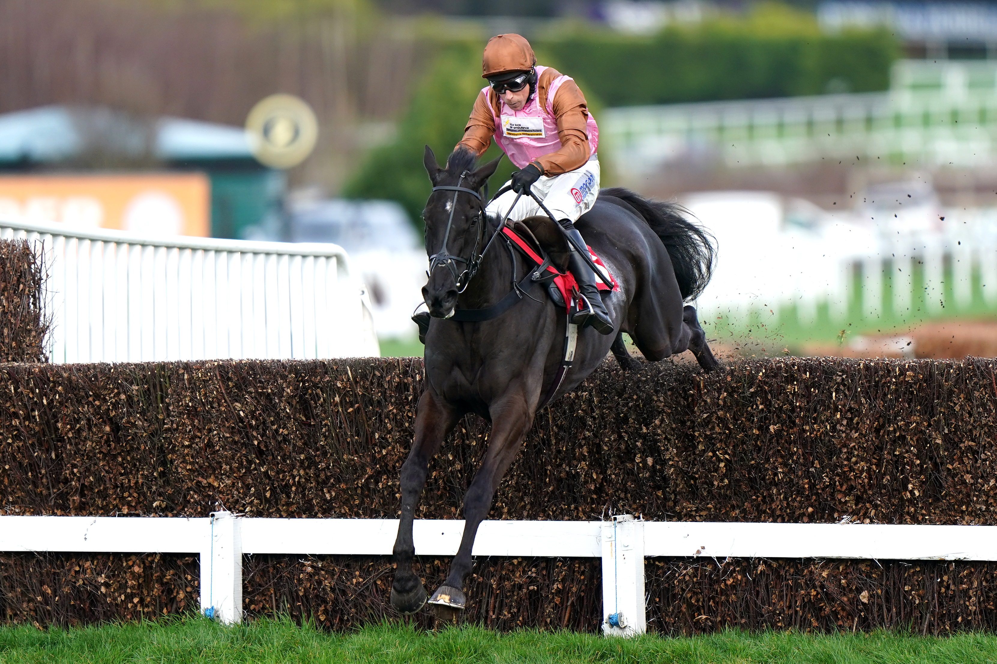 Etalon ridden by jockey Harry Skelton
