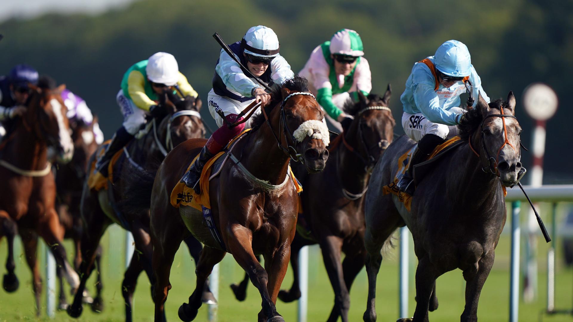 Shouldvebeenaring (right) finishing second in the Sprint Cup Stakes at Haydock Park Racecourse (Tim Goode/PA)
