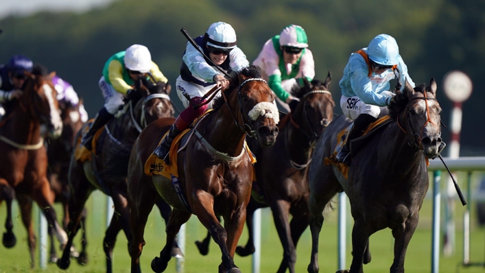Shouldvebeenaring (right) finishing second in the Sprint Cup Stakes at Haydock Park Racecourse (Tim Goode/PA)