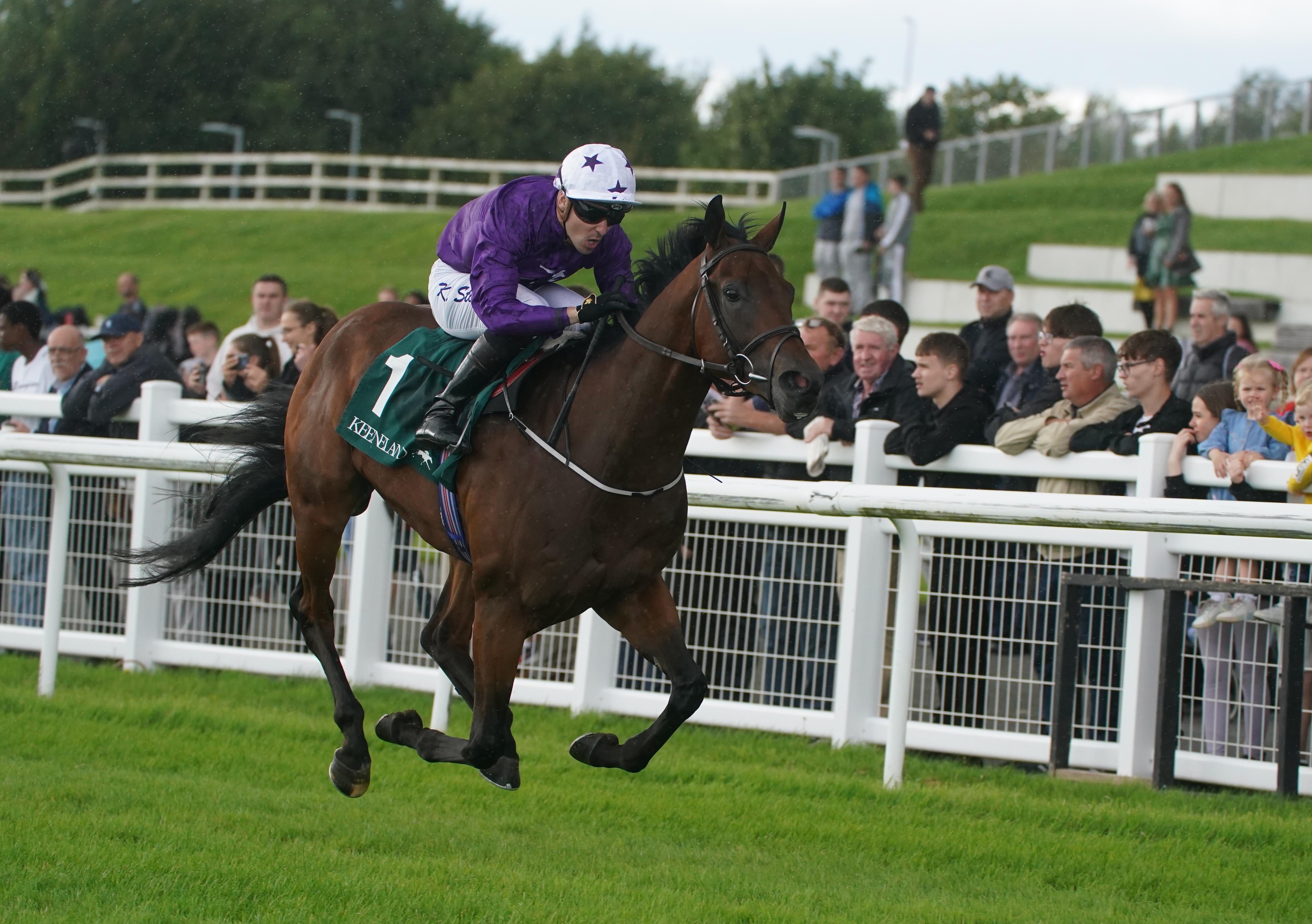 Bucanero Fuerte winning the Phoenix Stakes