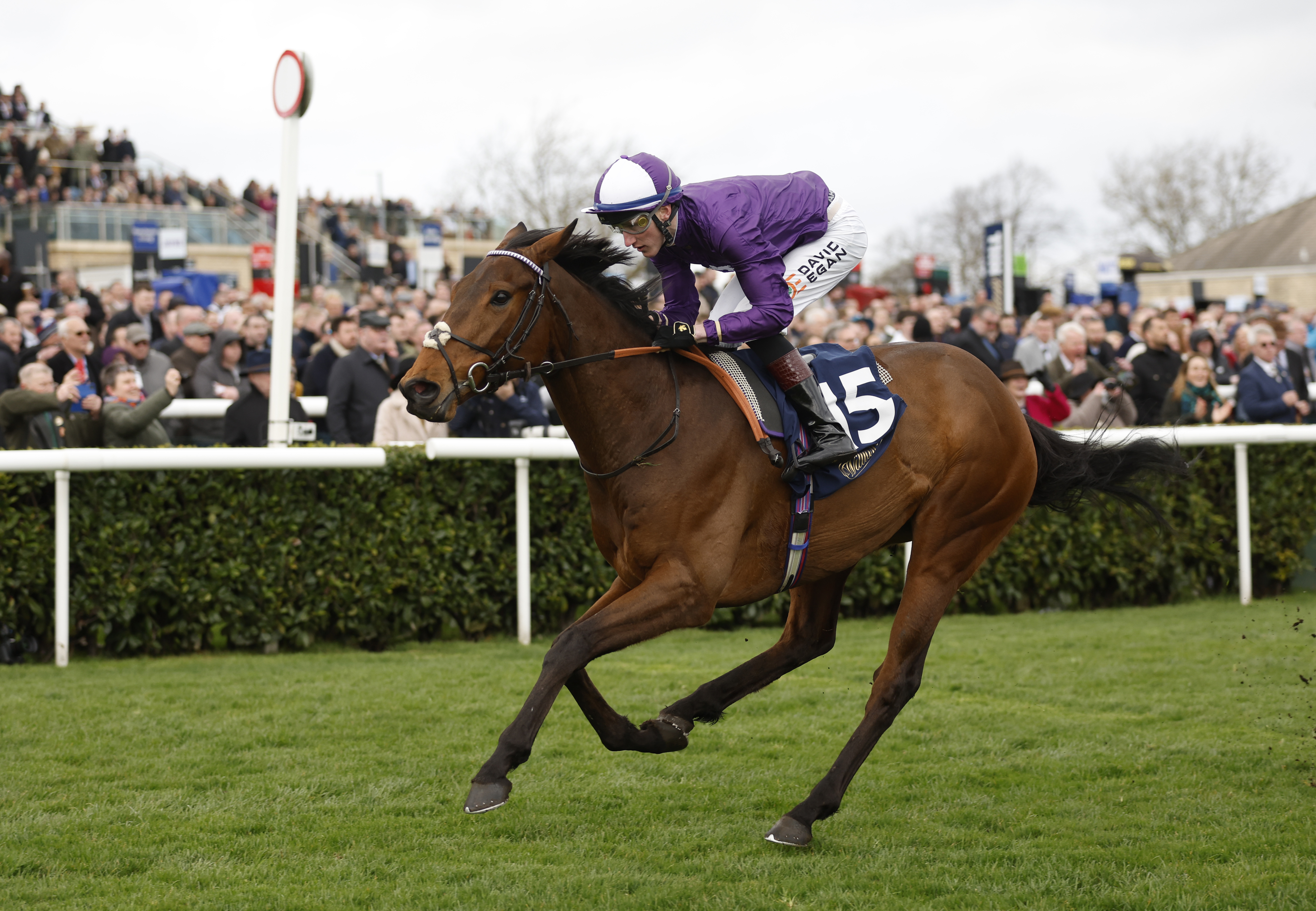 Doncaster Races – Saturday March 23rd