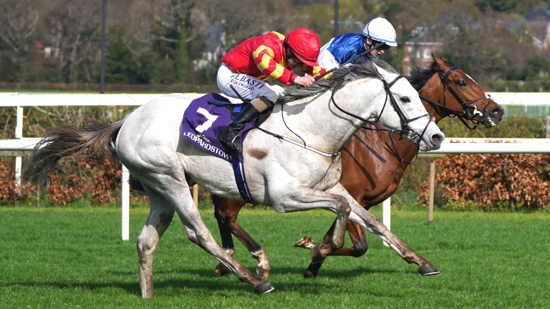 White Birch poised for return to action at Leopardstown | LiveScore