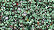 chapecoense - CROPPED
