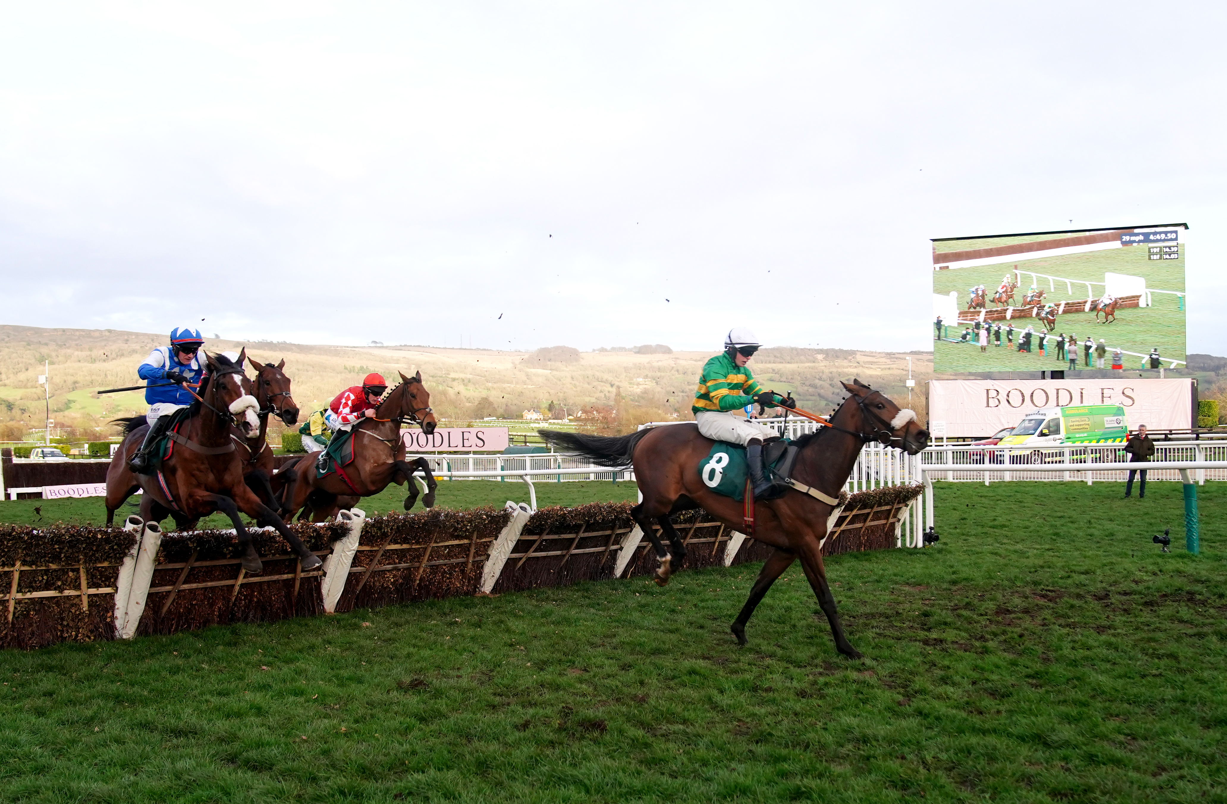 Iroko won at last year's Cheltenham Festival over hurdles
