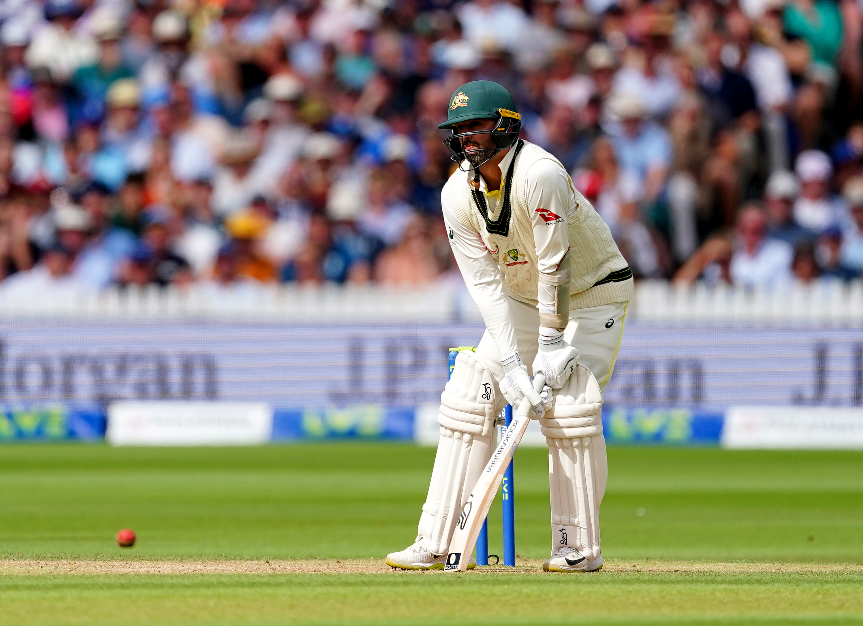 Nathan Lyon in clear discomfort while batting