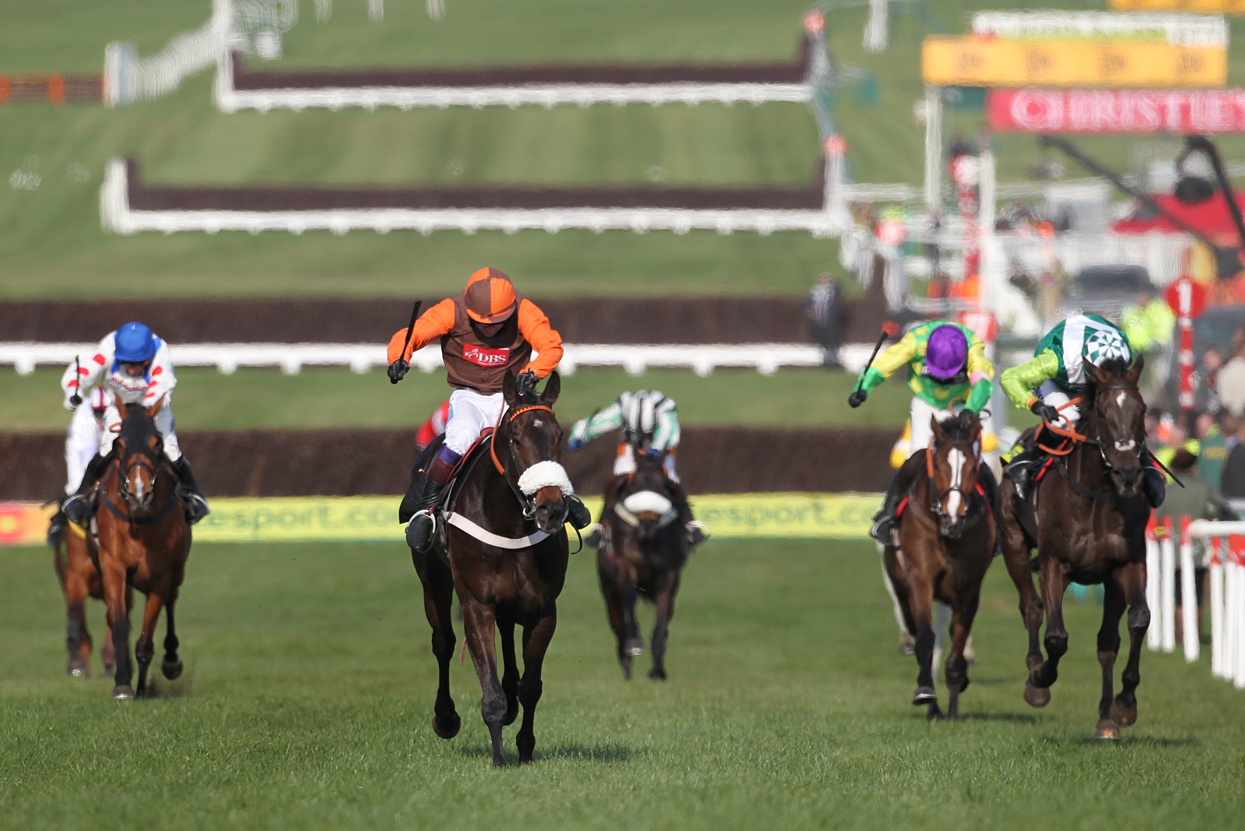Long Run races up the hill to win the Cheltenham Gold Cup