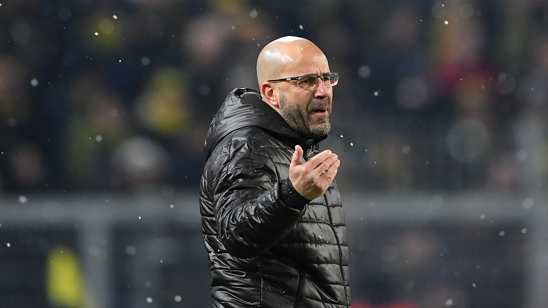 Borussia Dortmund sack Bosz, bring in Stoger Borussia Dortmund sack Bosz, bring in Stoger
